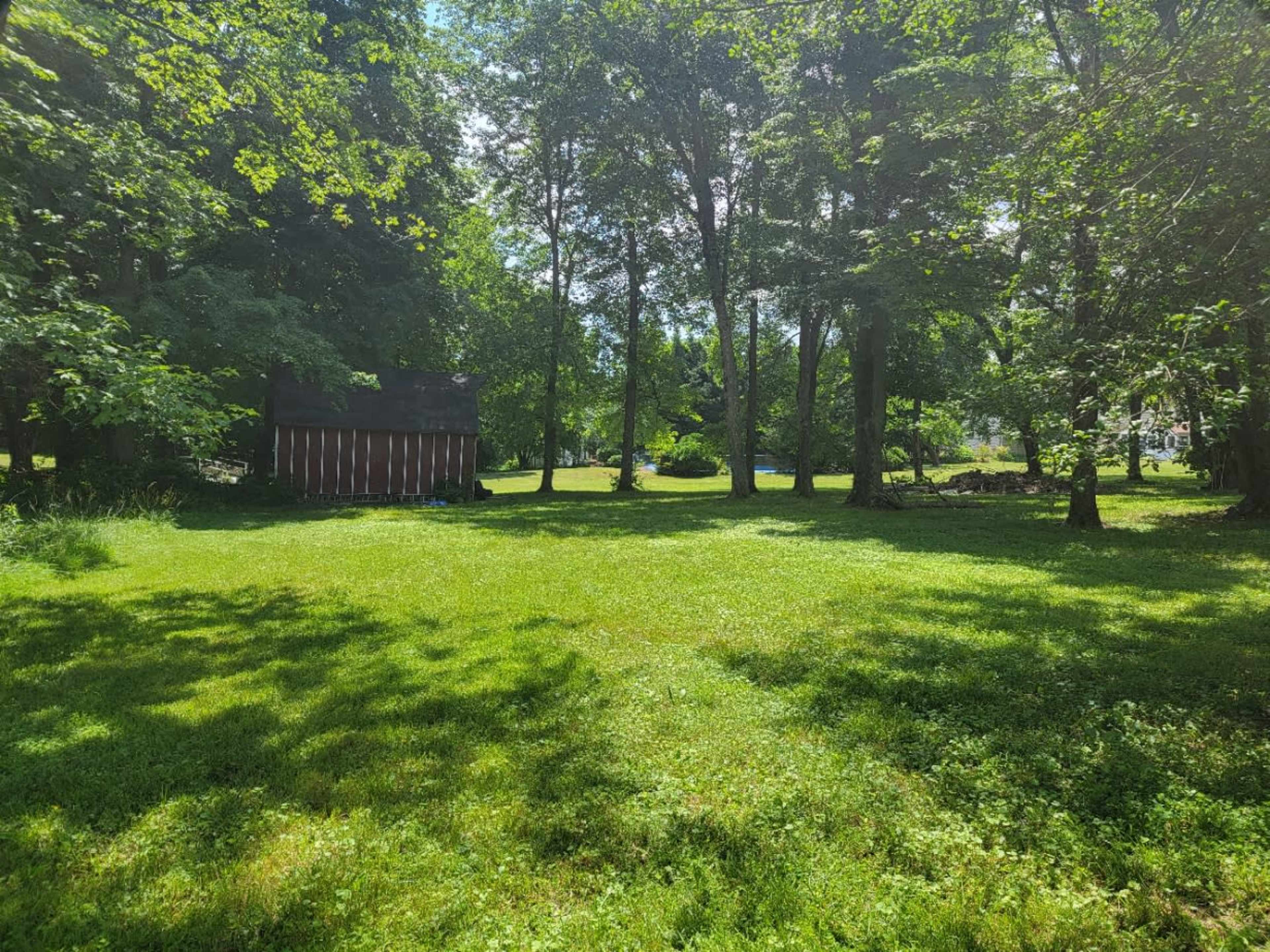 A grassy area is surrounded by tall trees, with a wooden shed visible in the background.