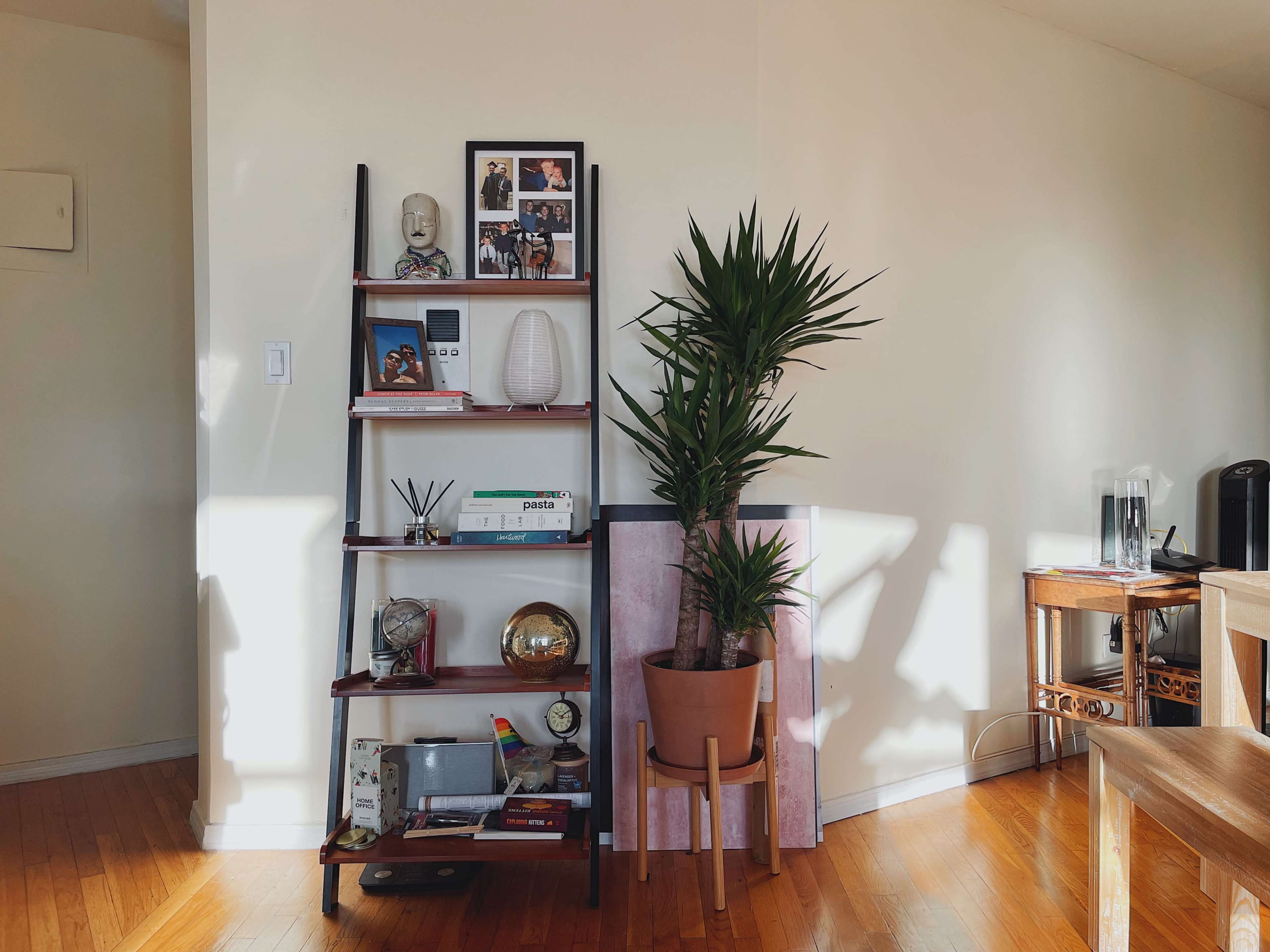 A wooden shelf with decorative items, a plant, and a small table is positioned in a well-lit corner of a room.