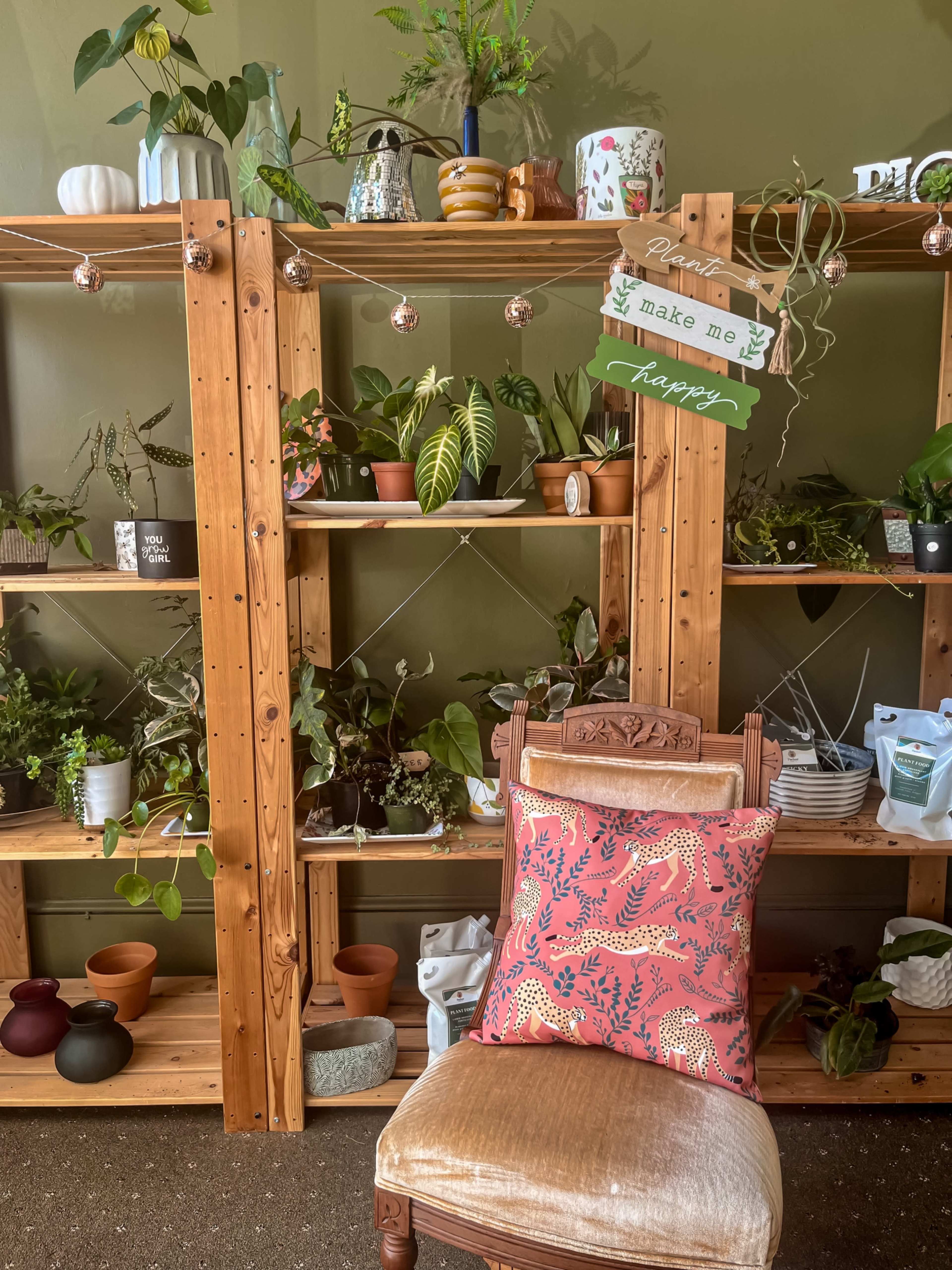 Downtown Plant and Floral Studio Image in Hendersonville, Hendersonville, NC