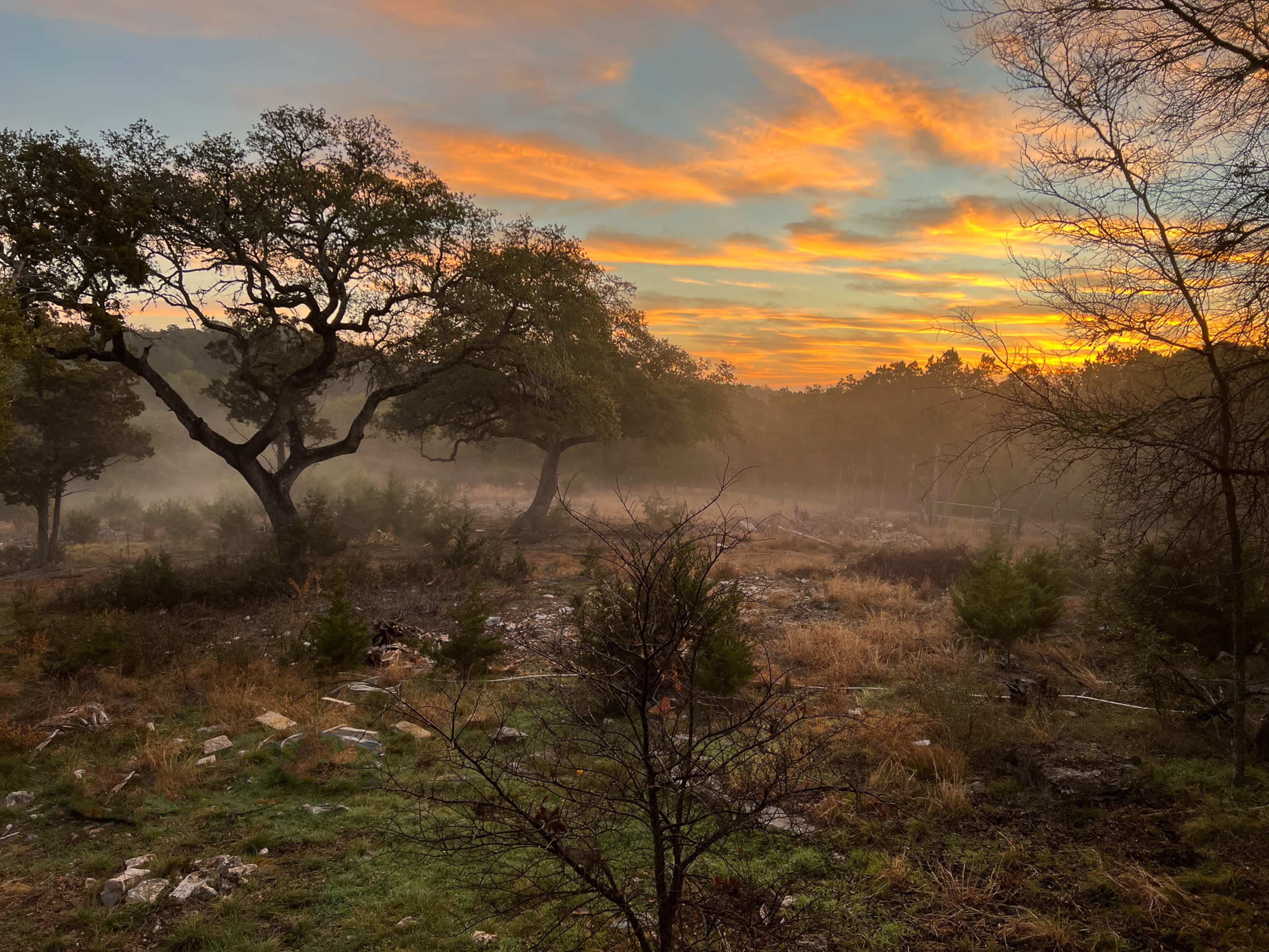 A misty landscape at sunrise with silhouetted trees and a colorful sky.