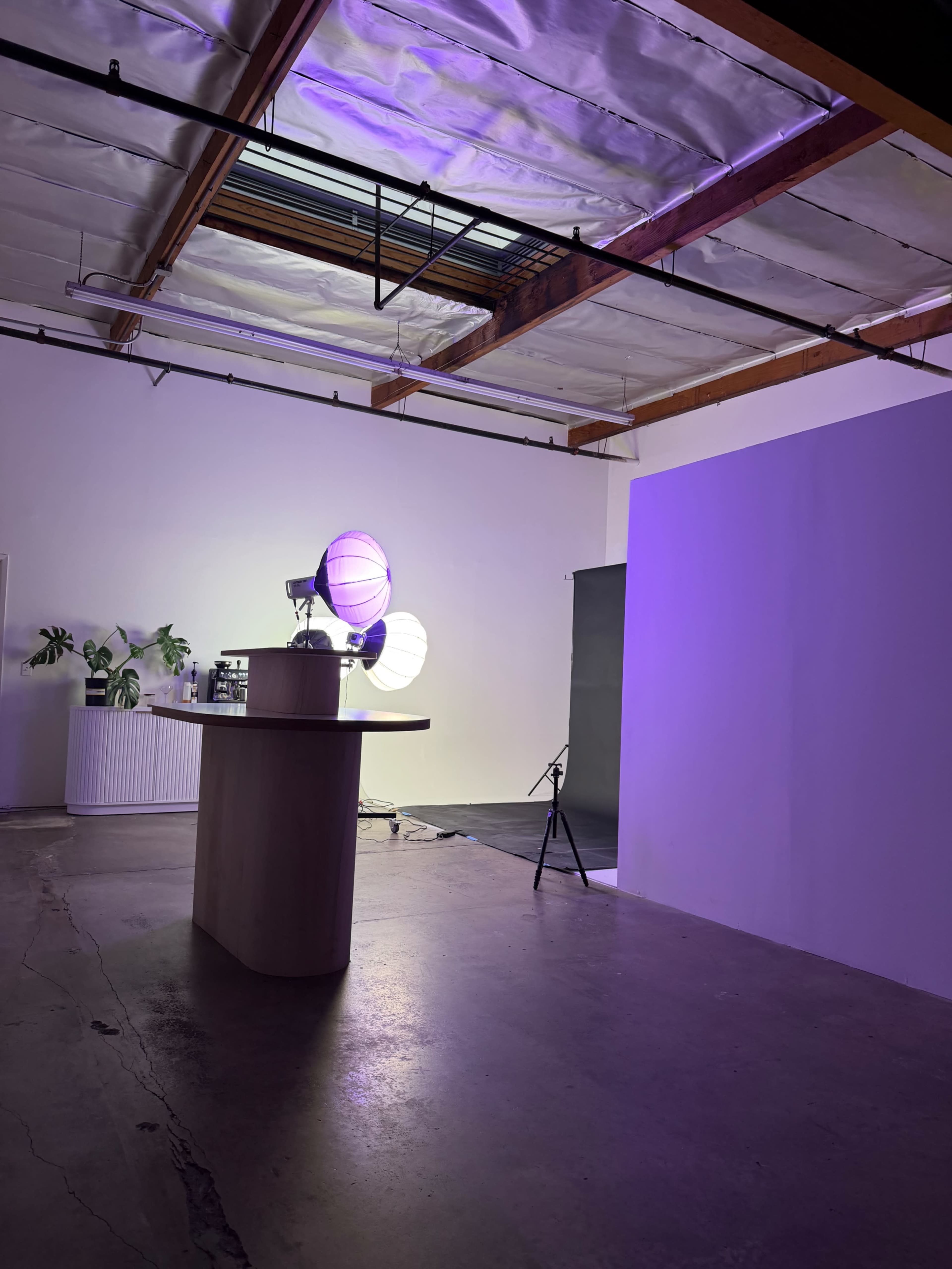 A spacious studio with a wooden table, two large studio lights, and minimal decor, including a few potted plants.