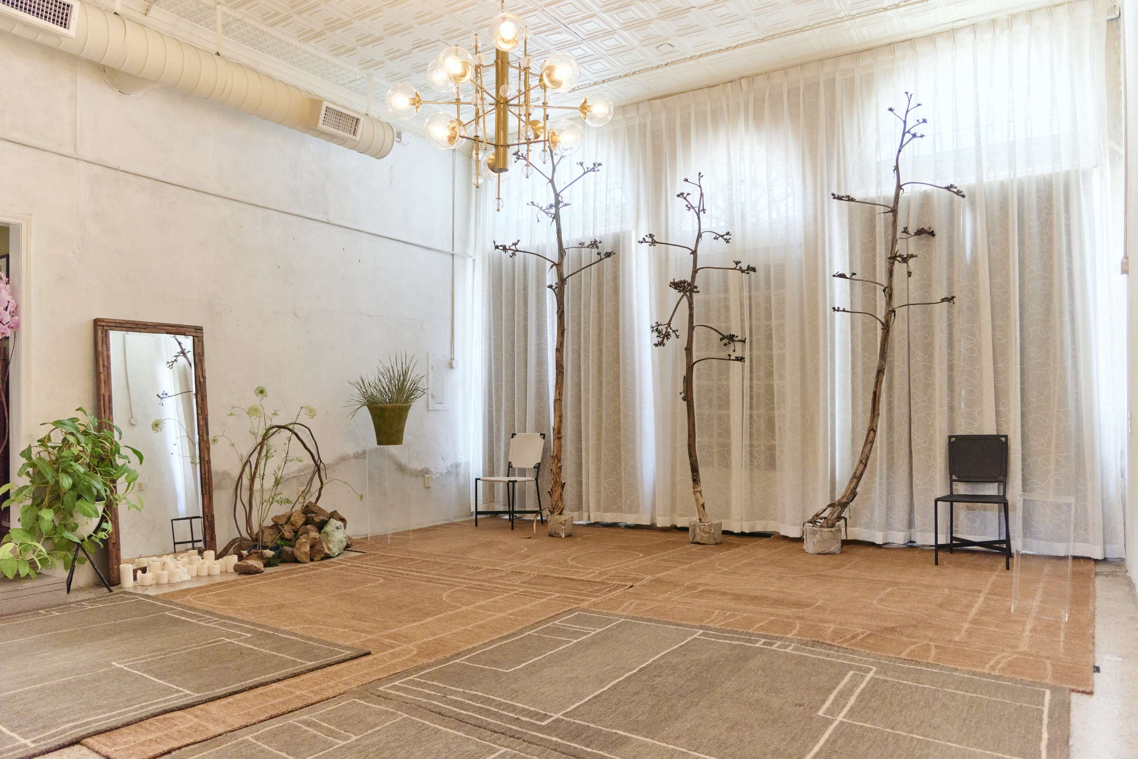 A spacious room features large windows with sheer curtains, two tall decorative trees, a mirror, a small plant, and several rugs on the floor.