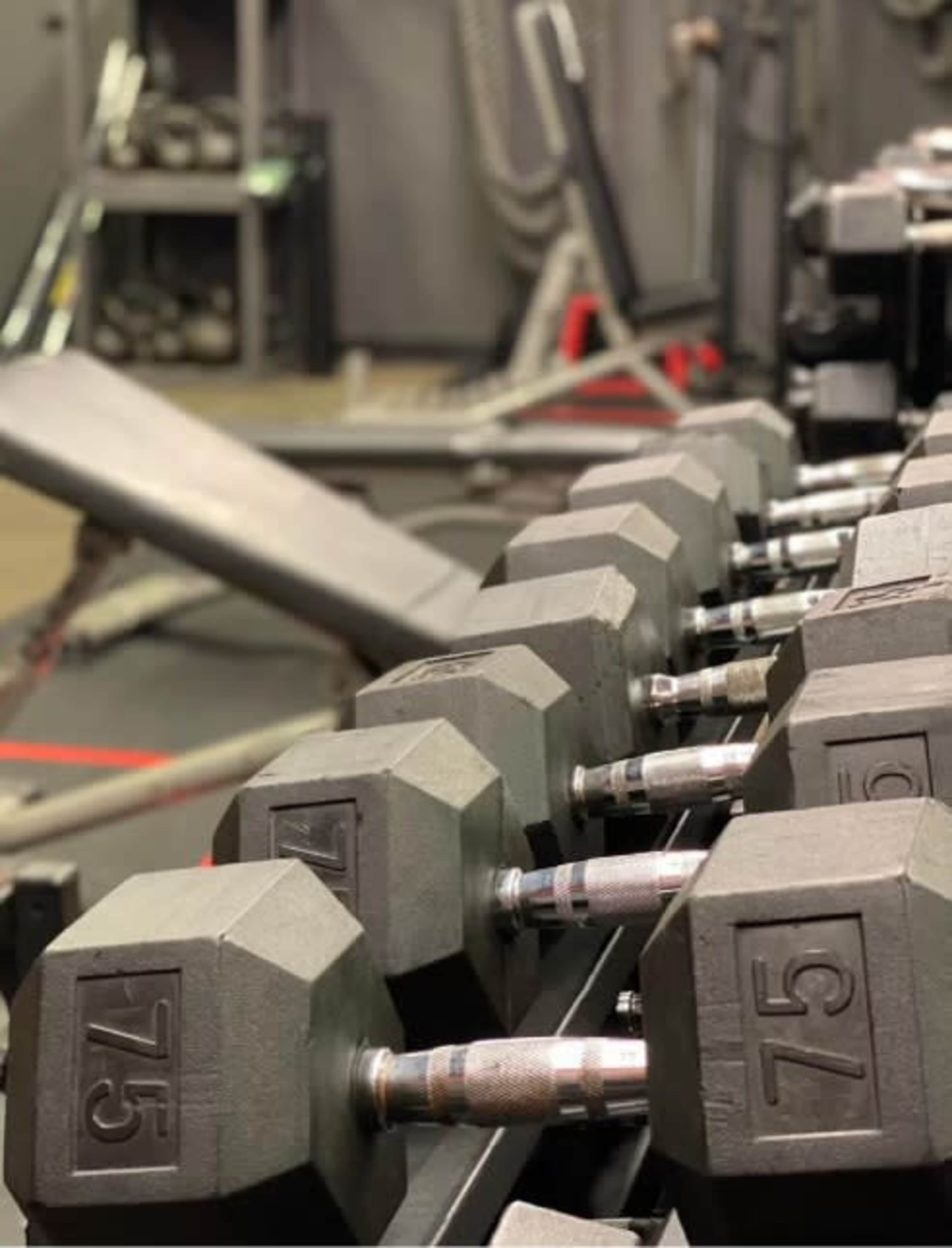 A row of hexagonal dumbbells of varying weights is neatly arranged on a rack in a gym setting.