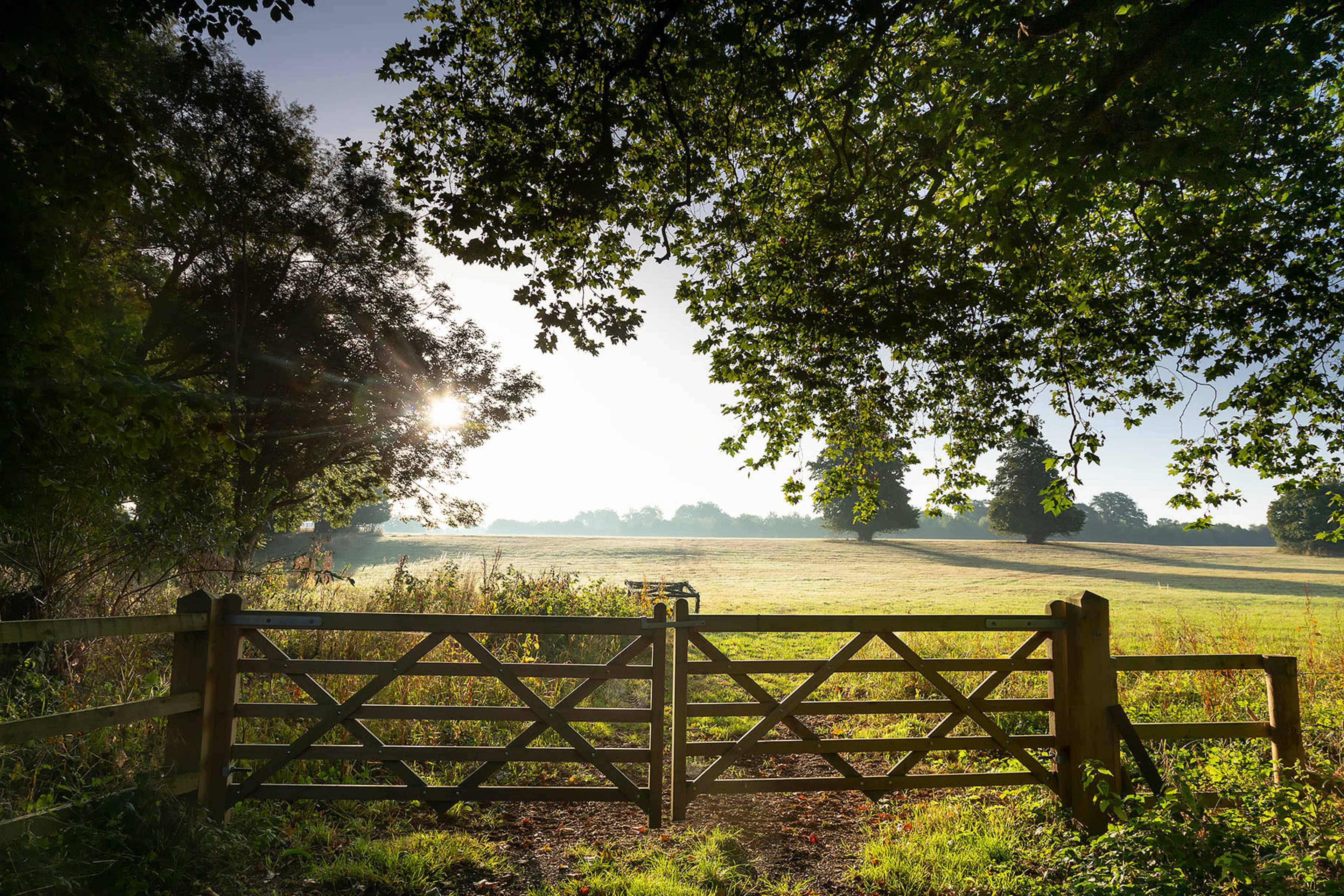 A wooden gate opens onto a grassy field framed by trees and illuminated by morning sunlight.