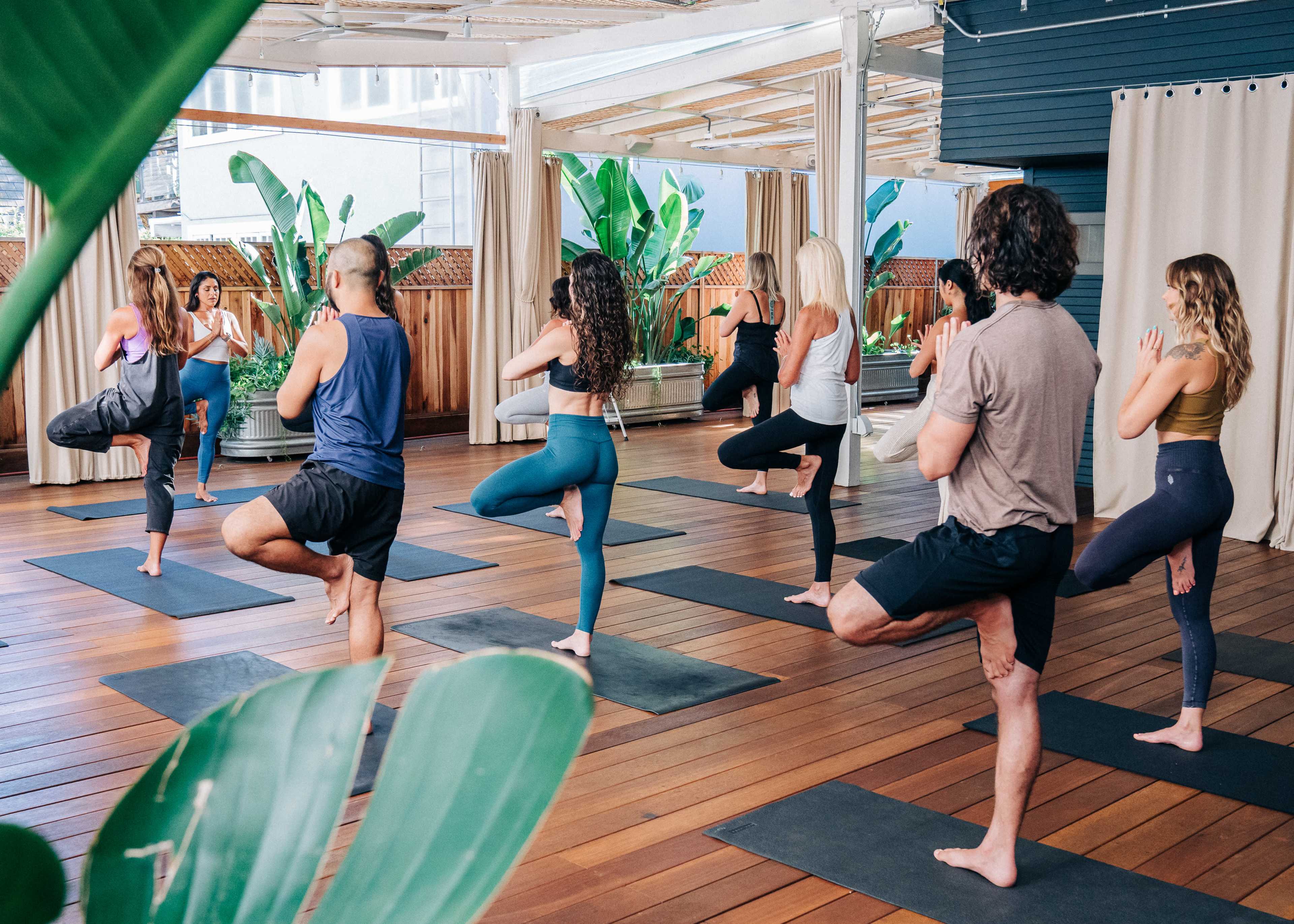 A group of people practices yoga on mats in a spacious indoor studio surrounded by plants.