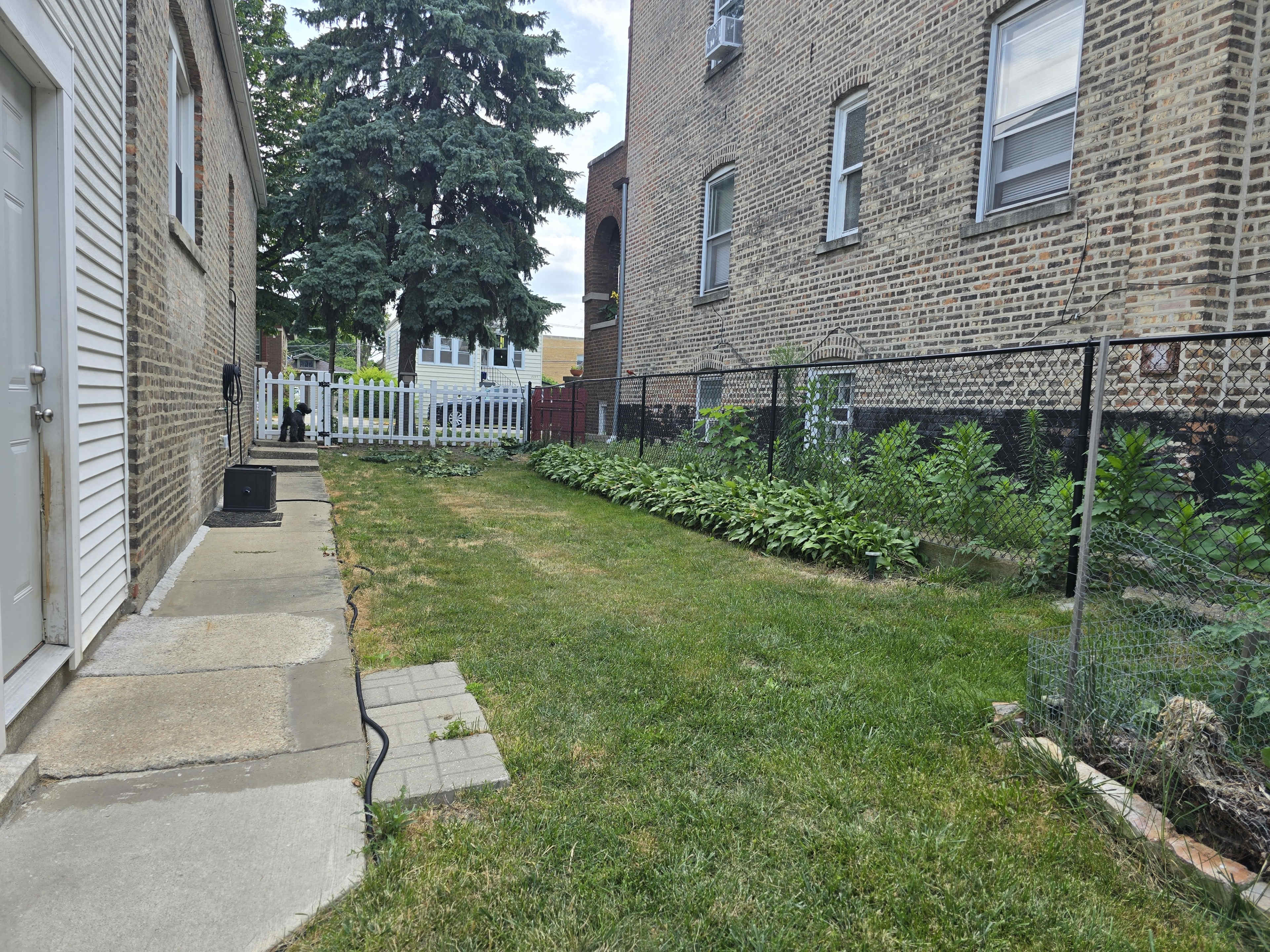 The image shows a grassy backyard bordered by two brick buildings, with a fenced area featuring a row of plants along one side.