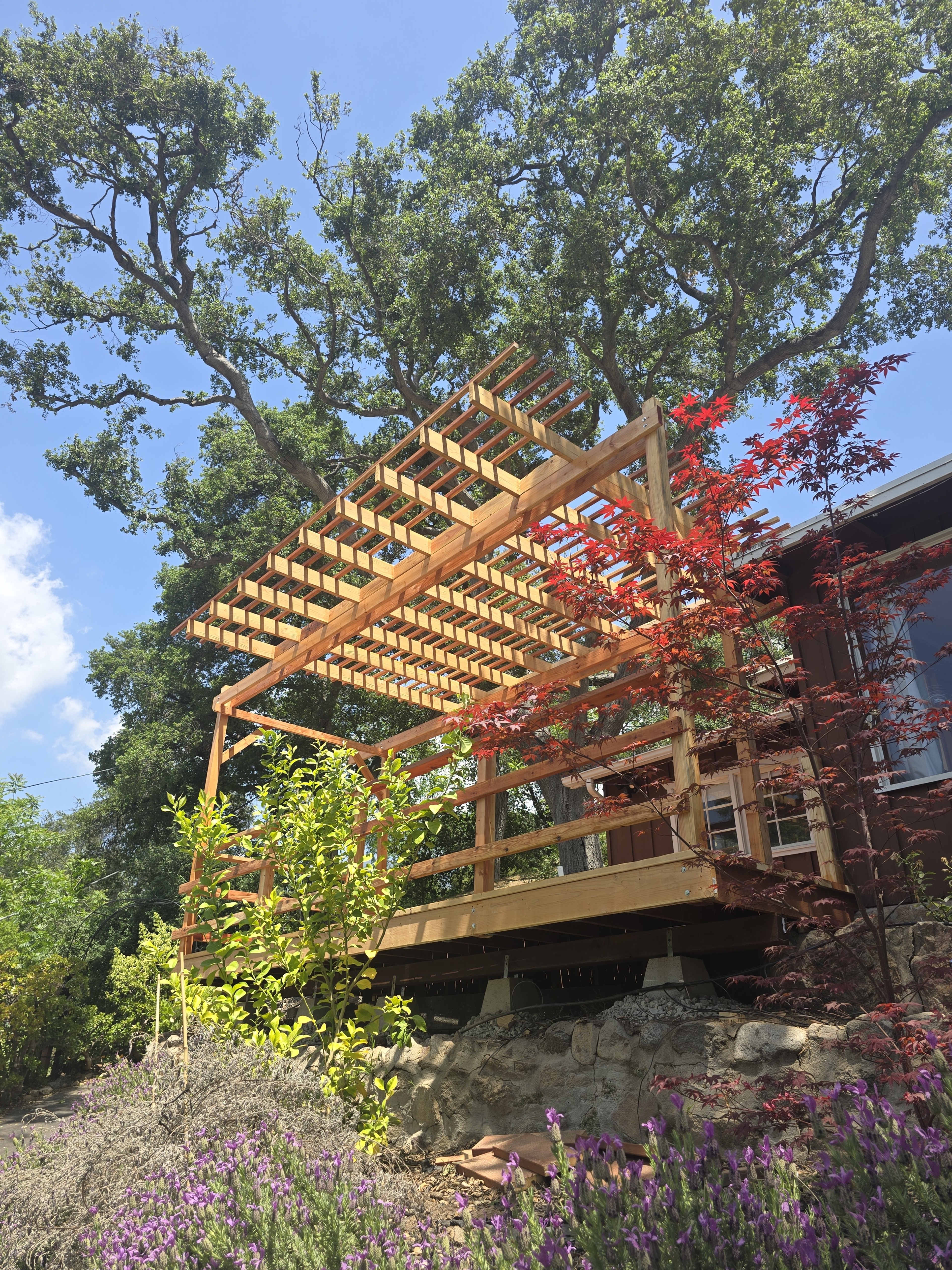 A wooden pergola is positioned atop a deck surrounded by greenery and flowering plants under a clear blue sky.