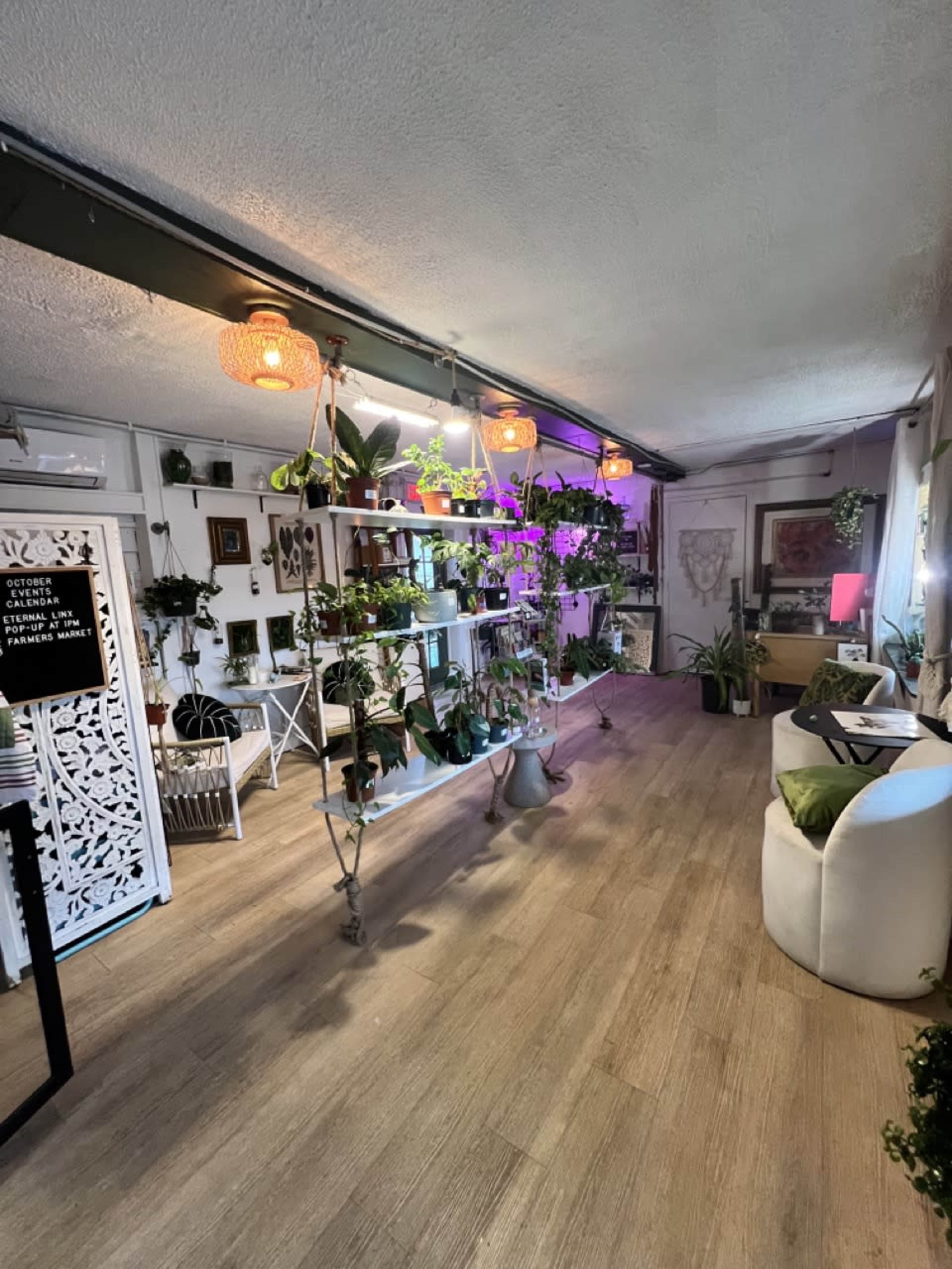 The image shows an indoor space filled with various potted plants arranged on shelves, with cozy seating and decorative lighting.