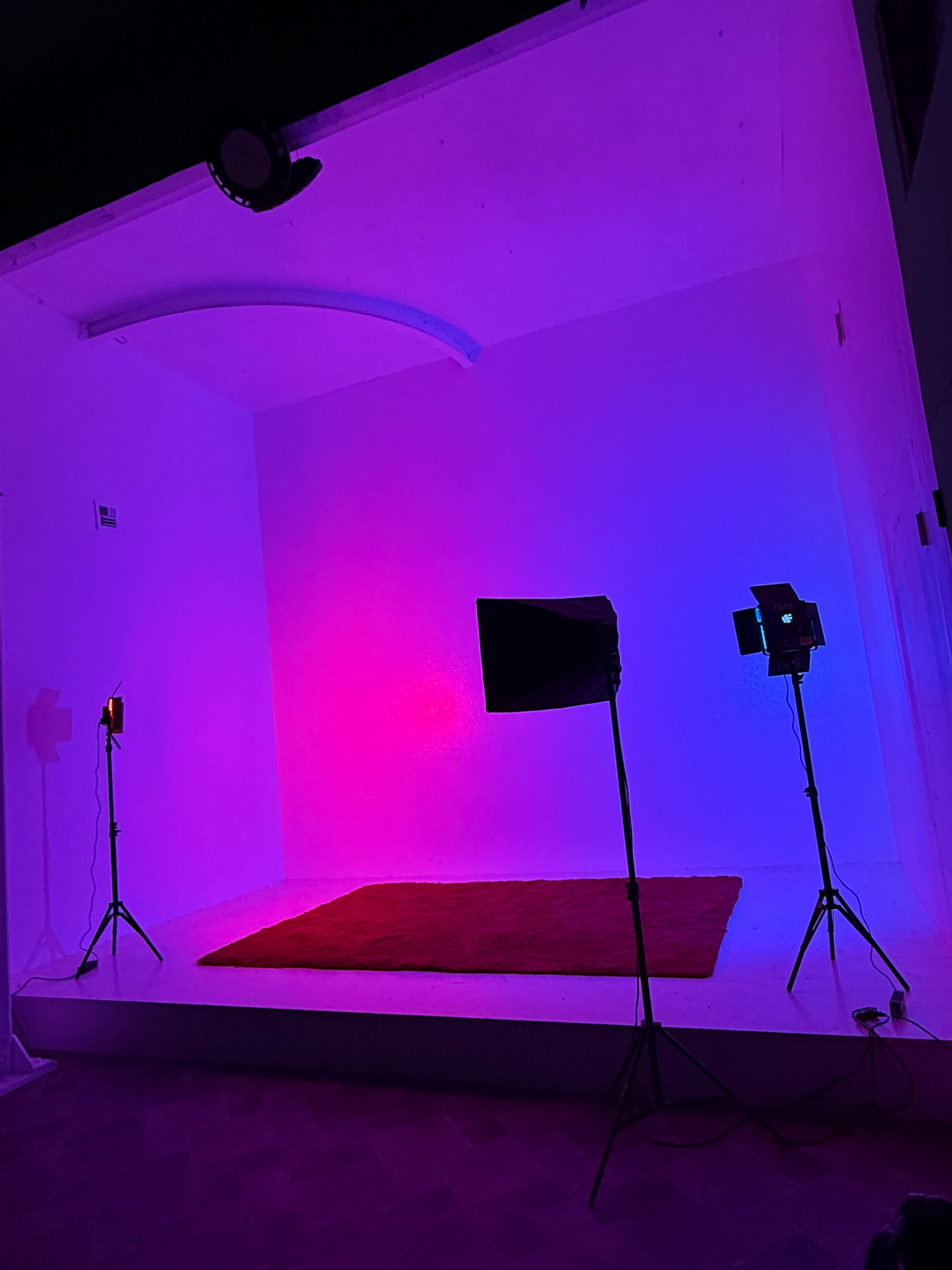 The image features a minimalist studio setup with a white wall and a colorful gradient illuminated by pink and blue lights, along with two studio light stands and a red rug on the floor.