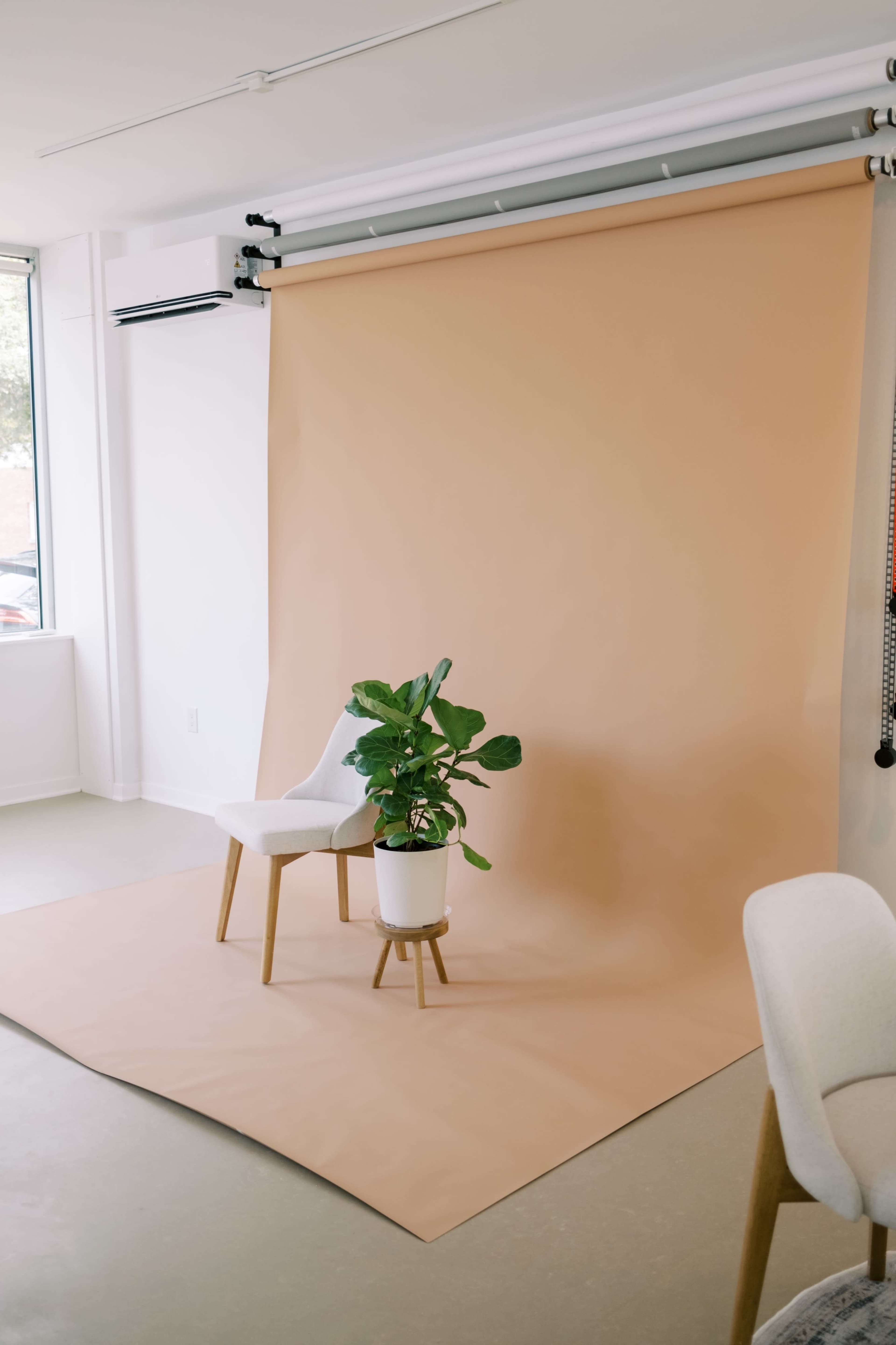 A light-colored backdrop is set up in a spacious room, featuring a chair and a potted plant on a matching surface.