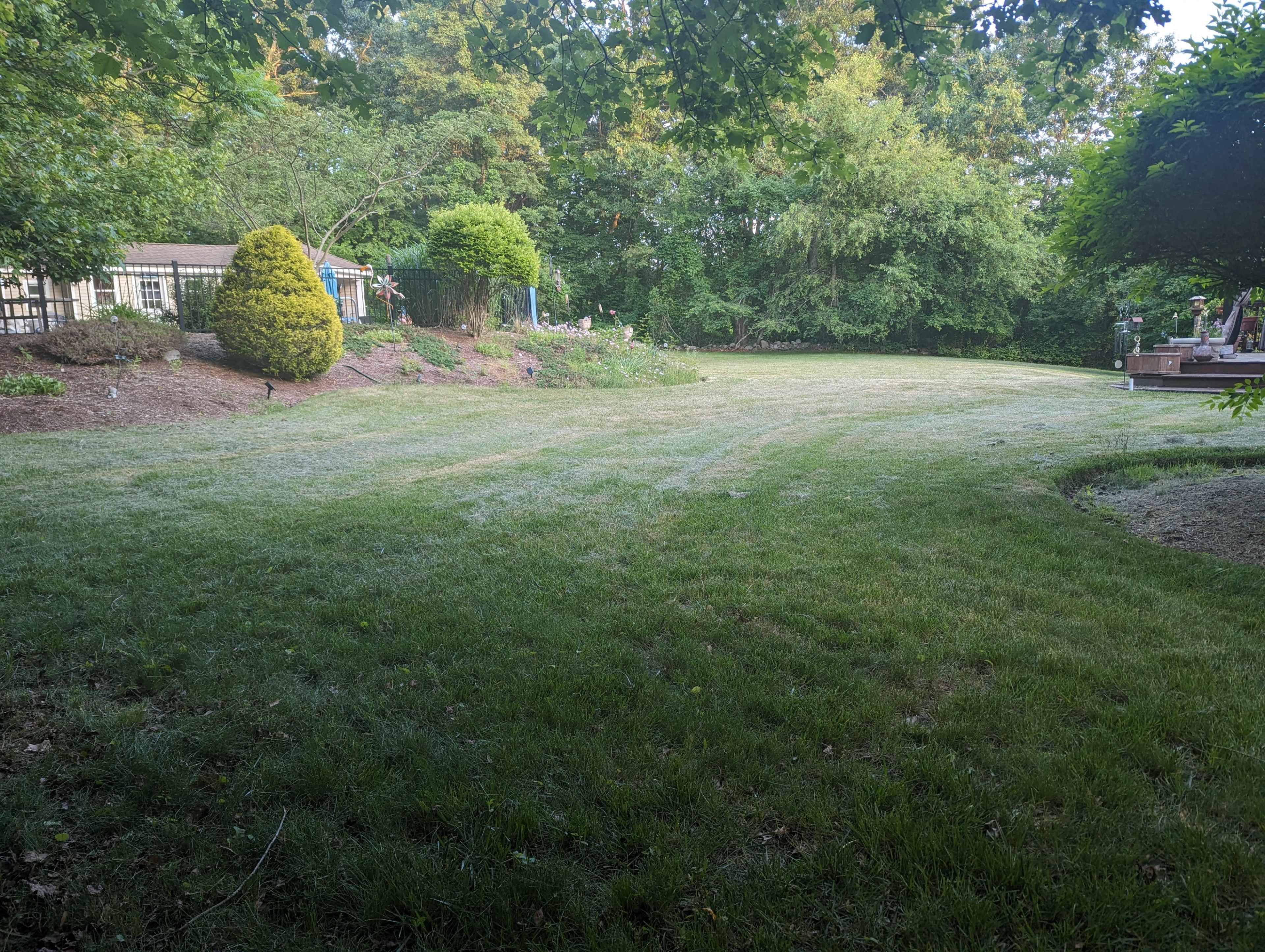 The image shows a grassy backyard with trees, shrubs, and a wooden deck in the background.