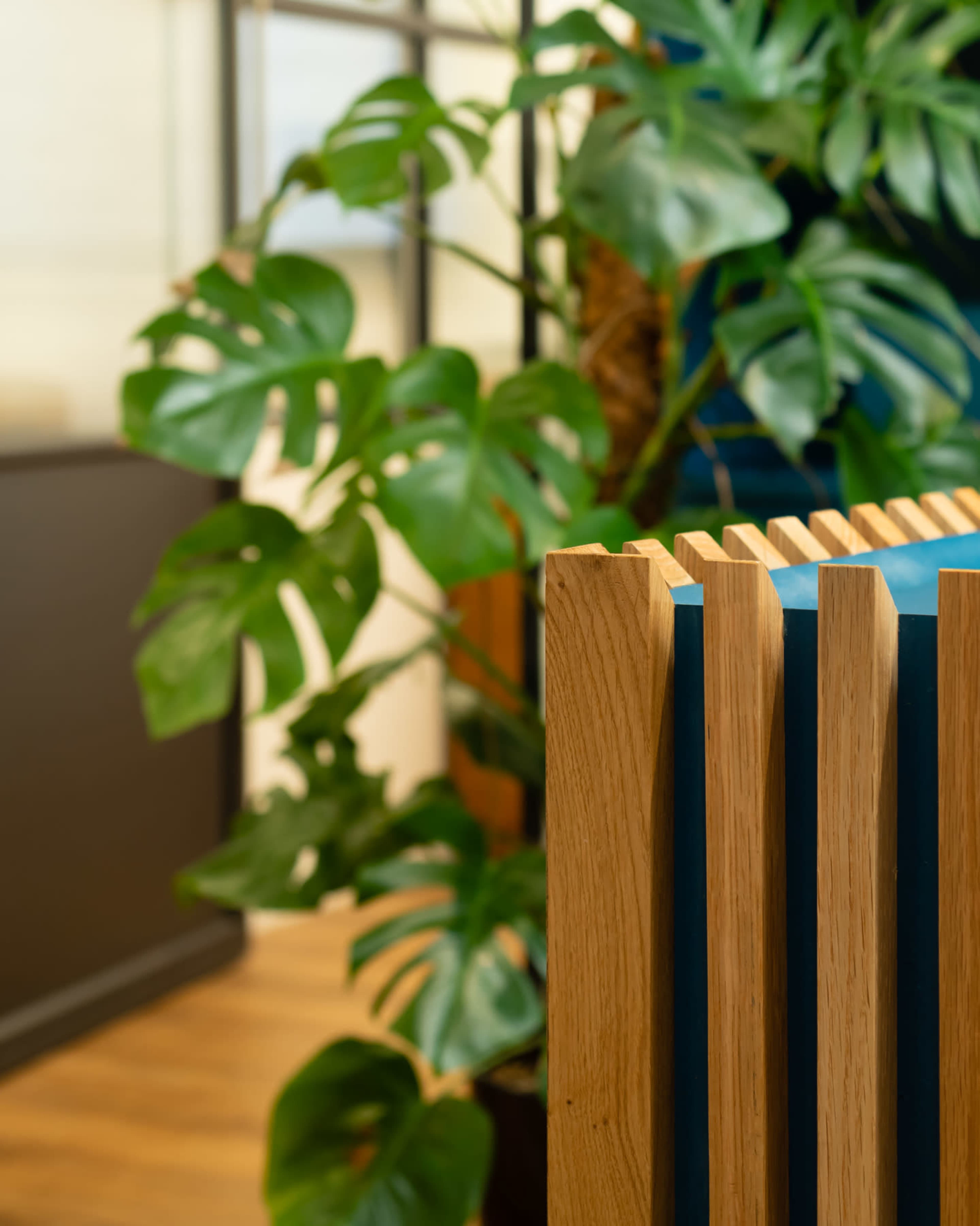 A close-up of a wooden partition with vertical slats, set against a backdrop of large green leaves and a blurred indoor space.