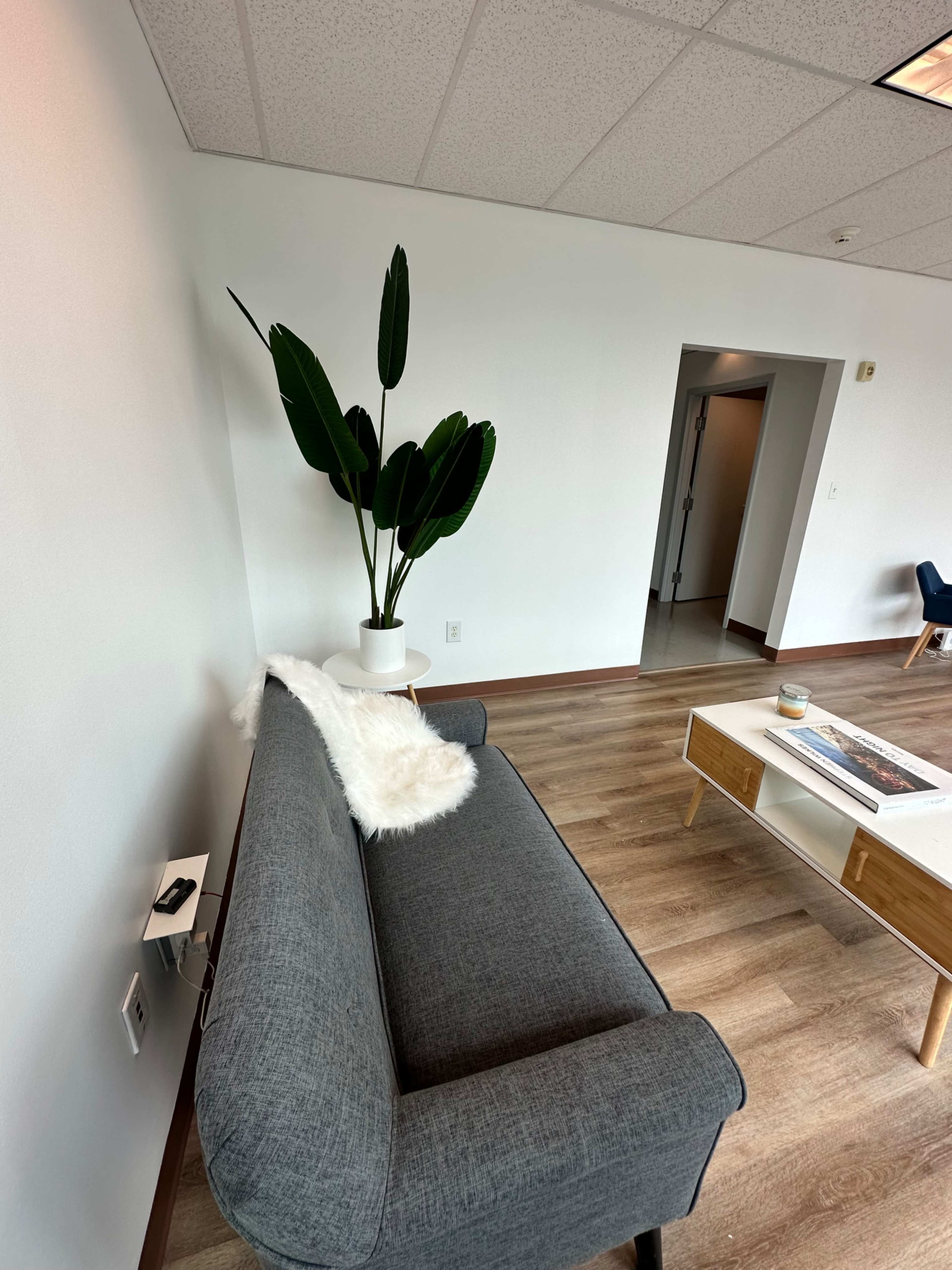 A modern living space with a gray couch, a potted plant, and a light-colored coffee table, all set against a white wall.