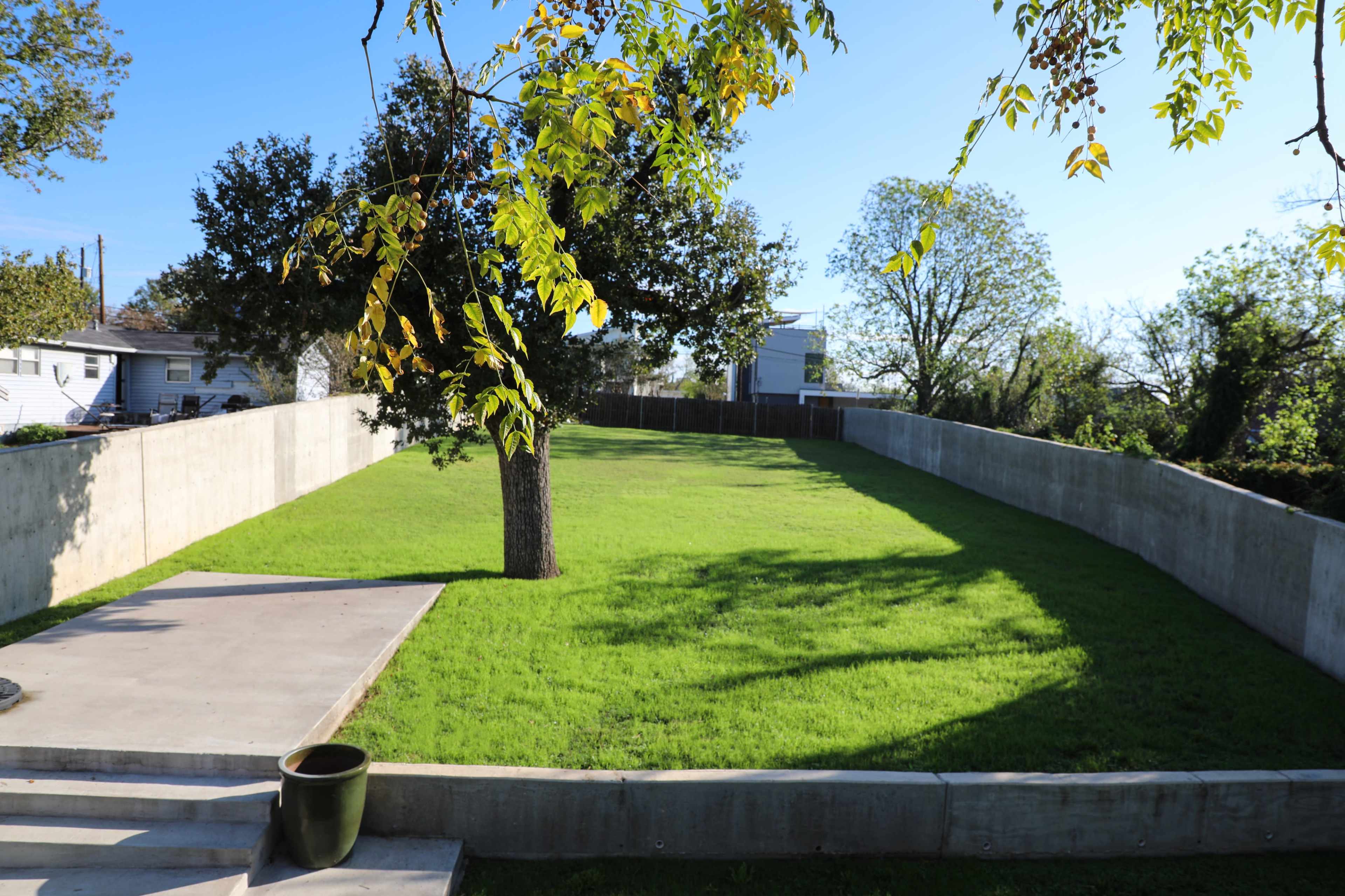 The image shows a spacious grassy yard enclosed by concrete walls and a tree in the center.