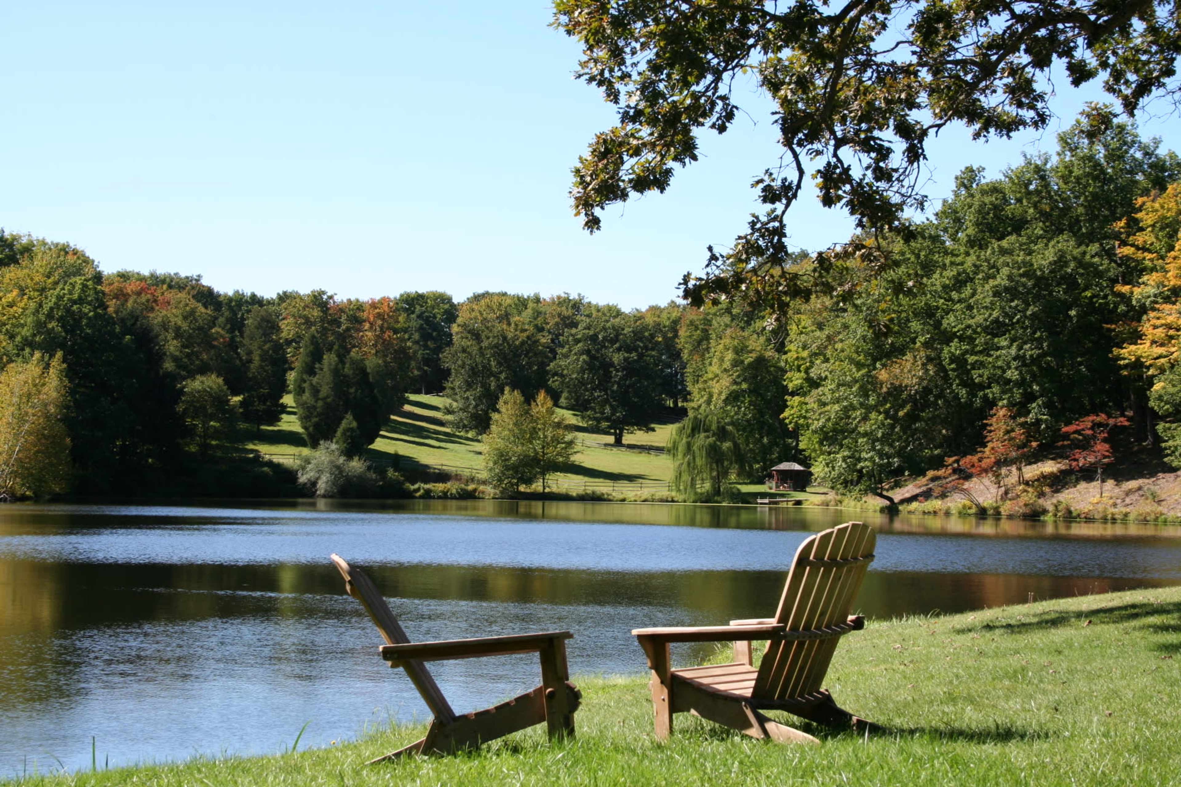 Two wooden chairs are positioned beside a calm lake, surrounded by trees and a grassy shoreline under a clear blue sky.