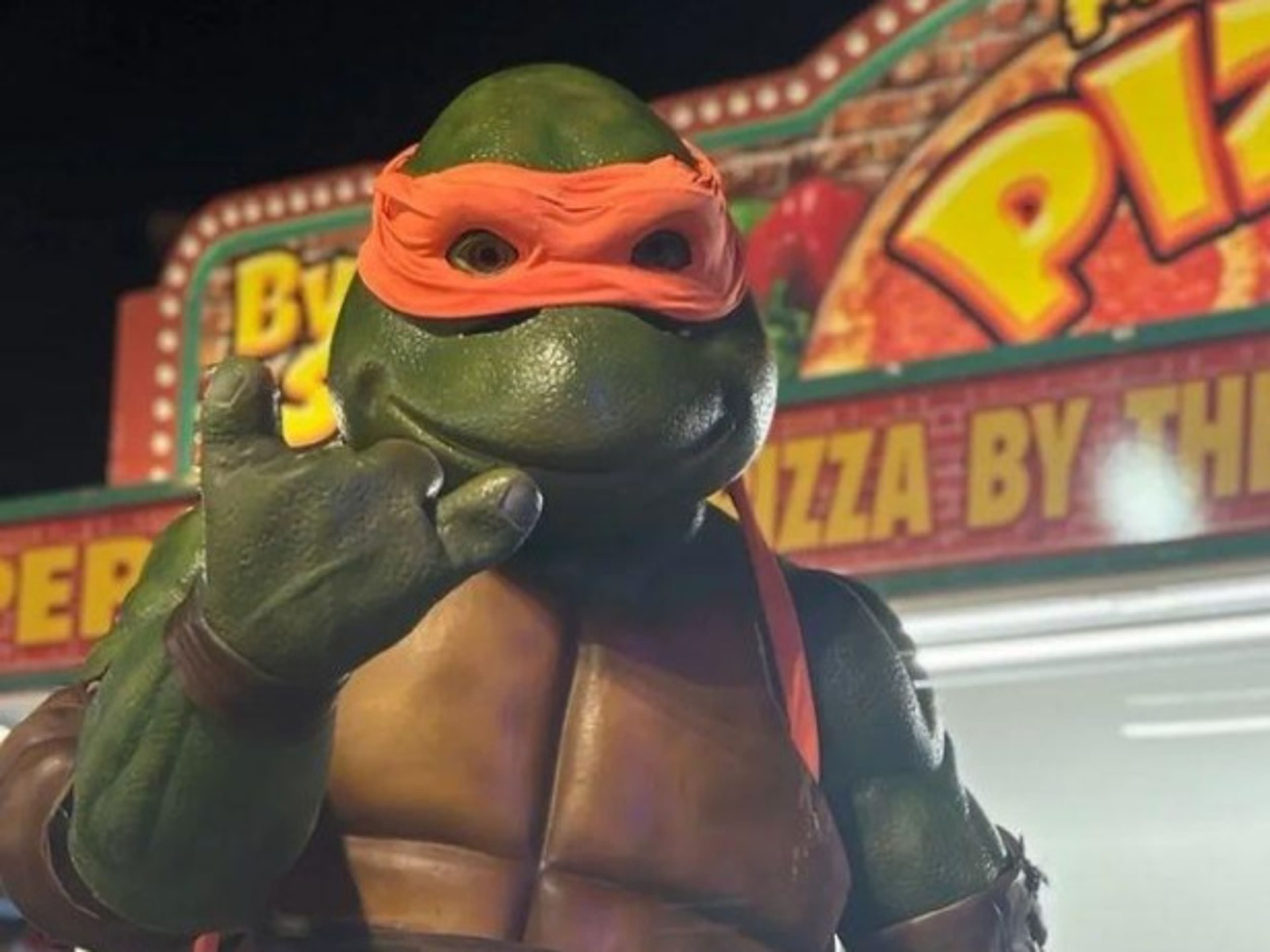 Ninja Turtle Character appearance