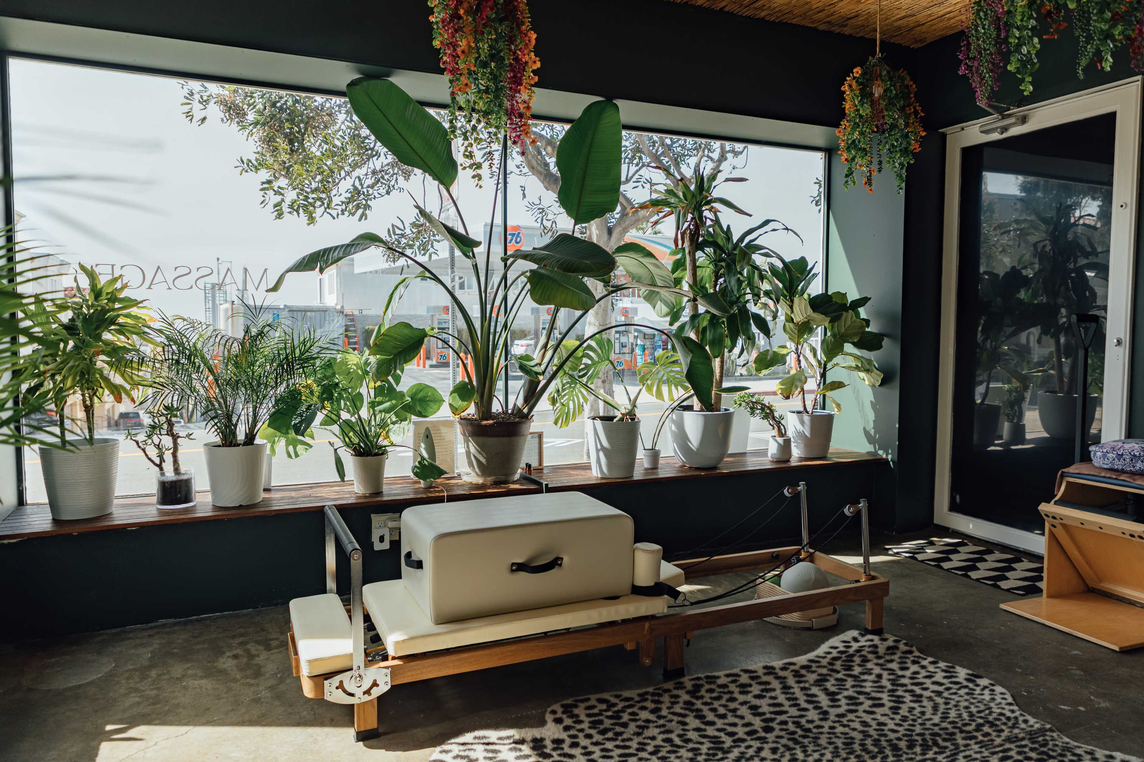 The image features a spa-like room with large windows, filled with various potted plants, a massage table, and a cozy seating area.