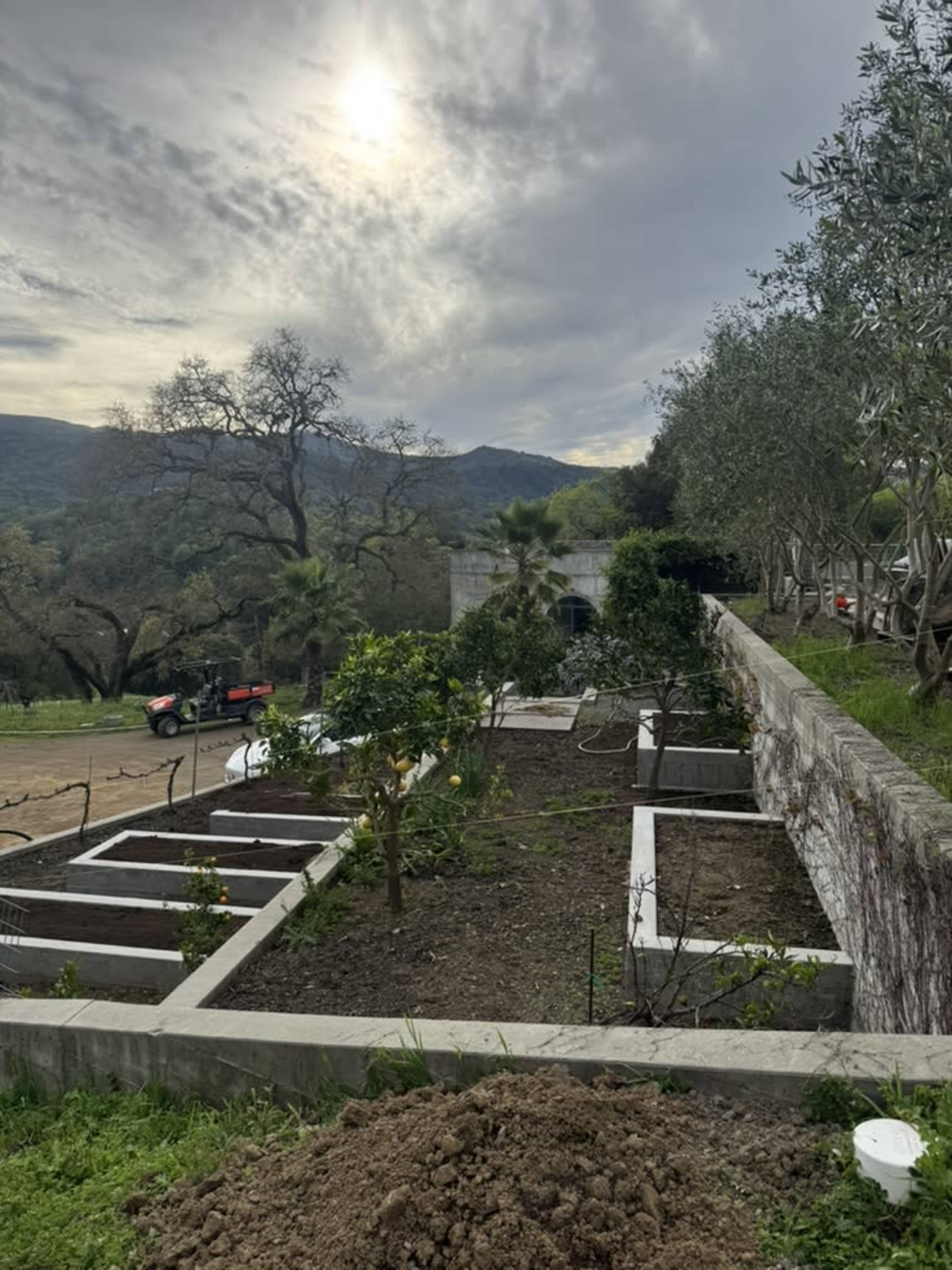 The image shows a garden area with raised planting beds, surrounded by trees and a hillside in the background under a cloudy sky.