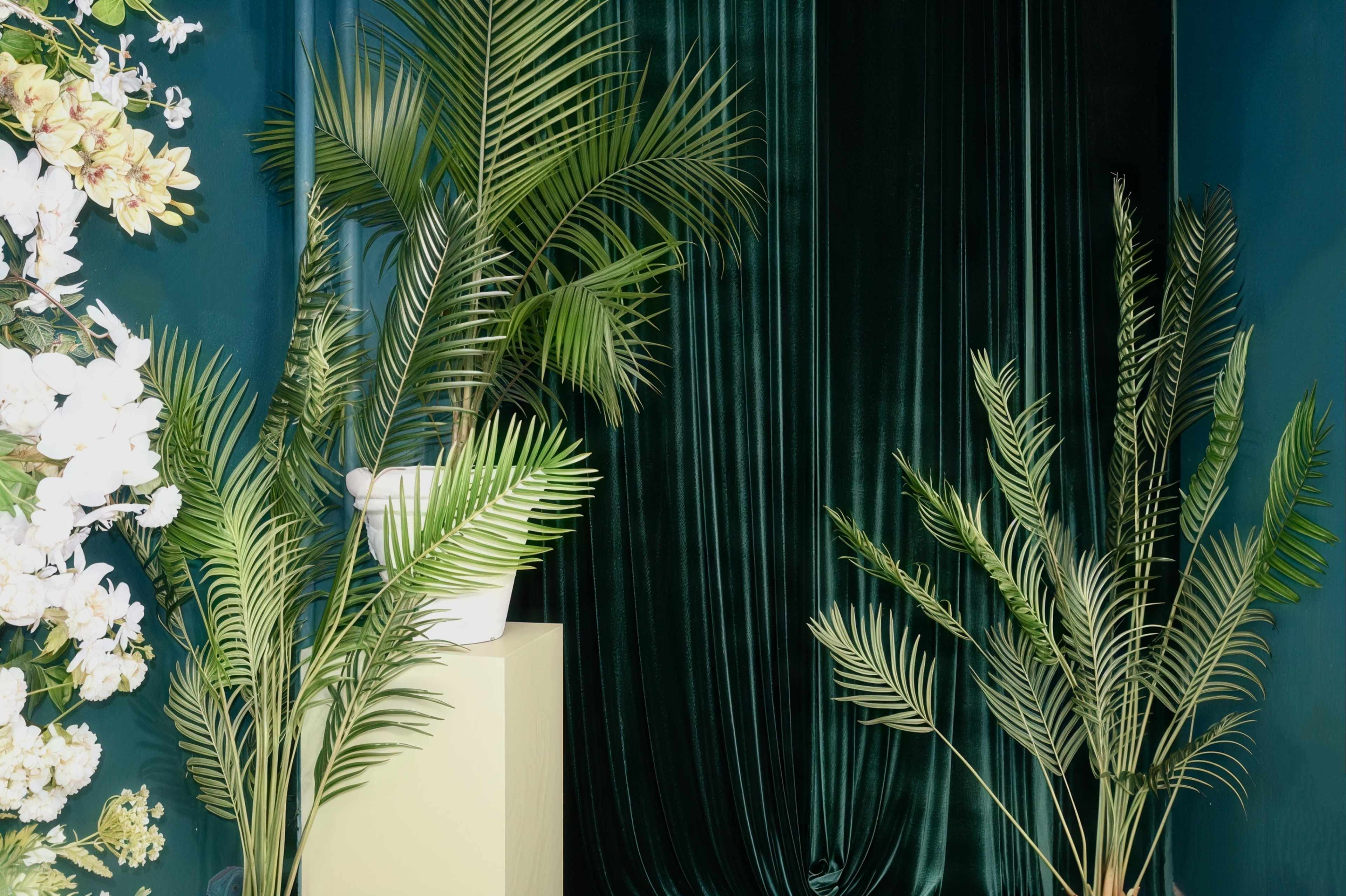 The image features a backdrop of emerald green curtains flanked by potted palm plants and some decorative flowers.