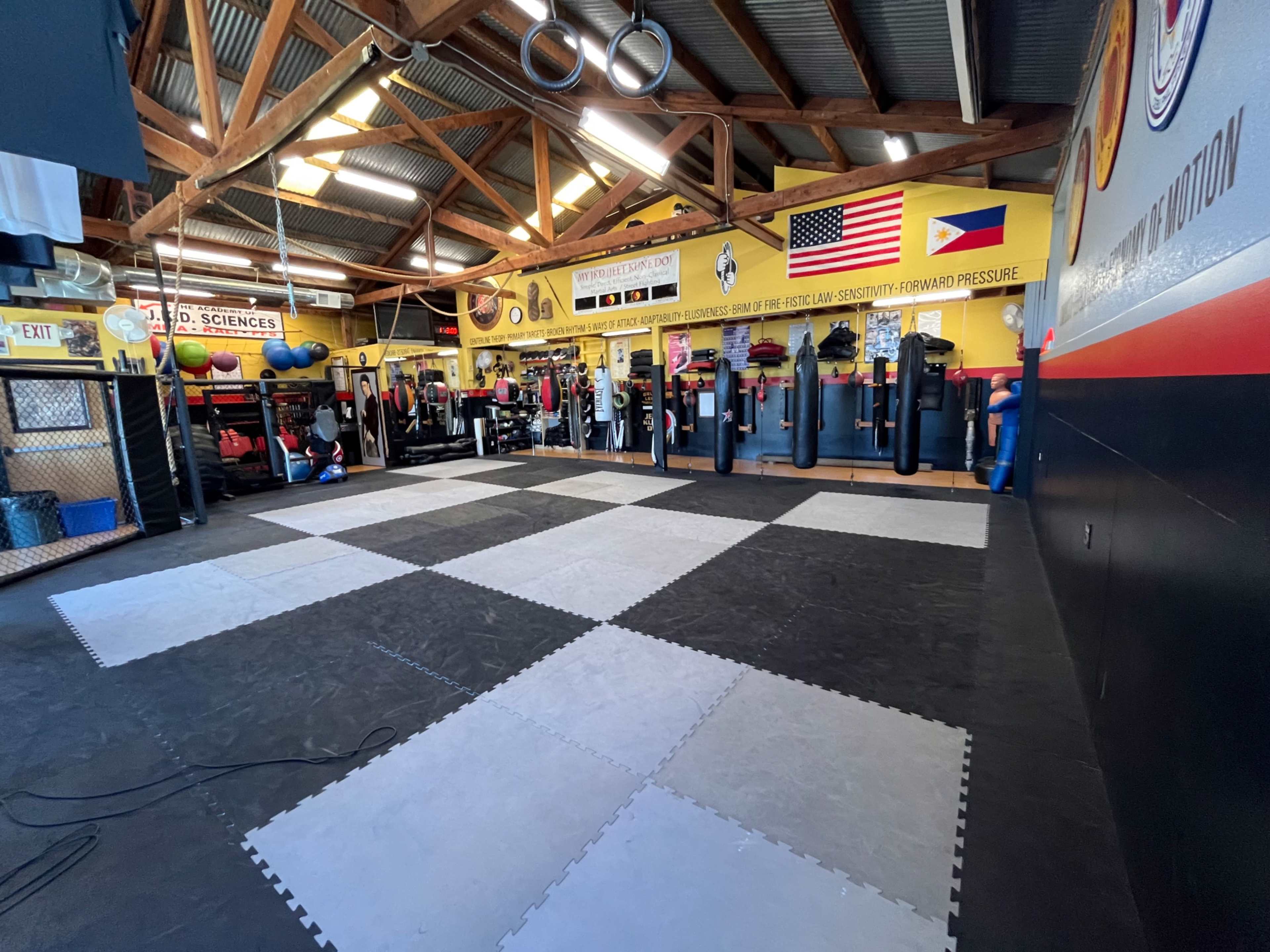 The image shows a training gym with a checkerboard-patterned mat and various punching bags and fitness equipment lined against the walls.