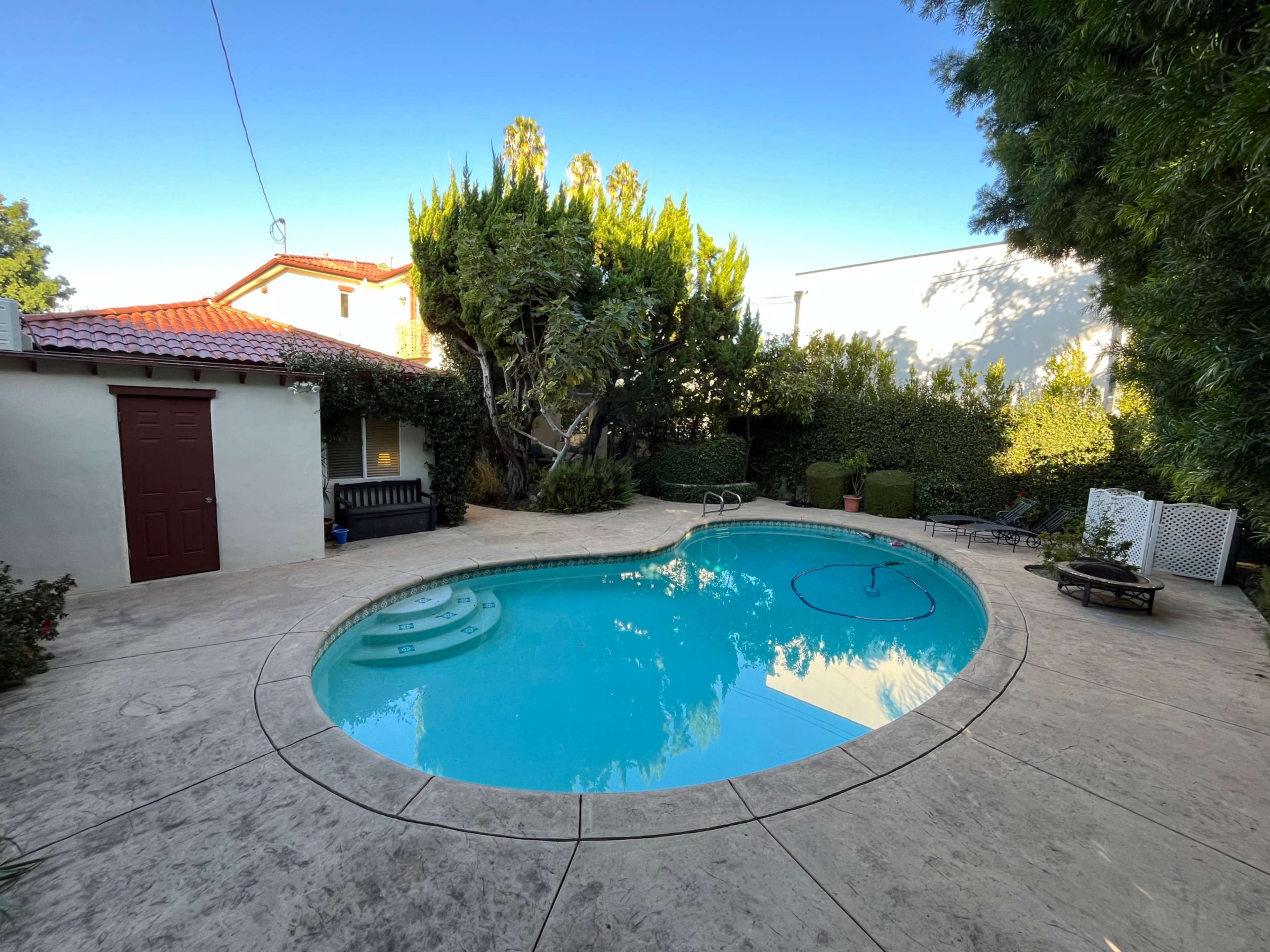 The image shows a backyard with a curved swimming pool surrounded by greenery and a small house with a brown door to the left.