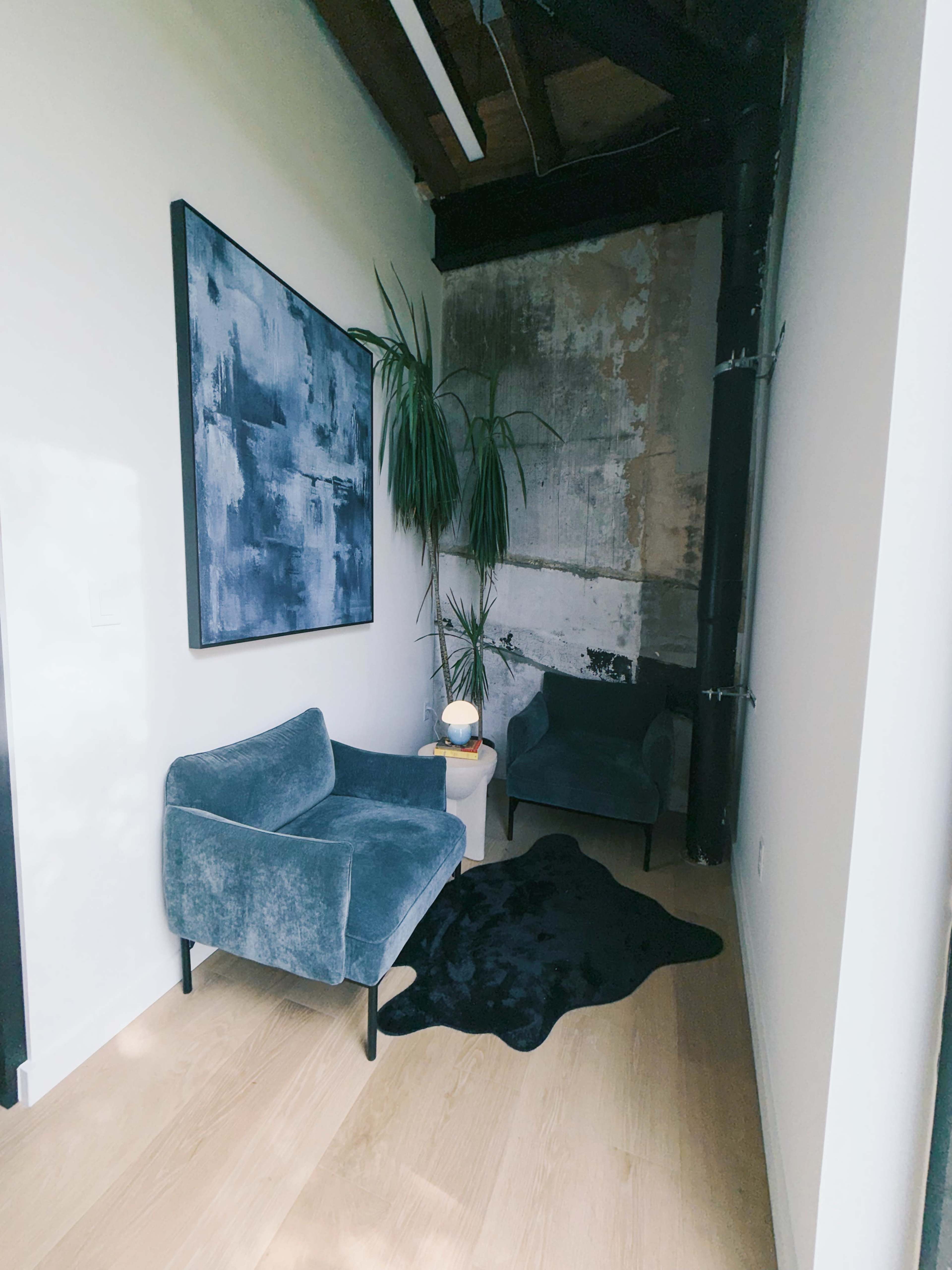 The image shows a small corner of a room featuring two upholstered chairs, a side table, a potted plant, and a decorative rug on a wooden floor.