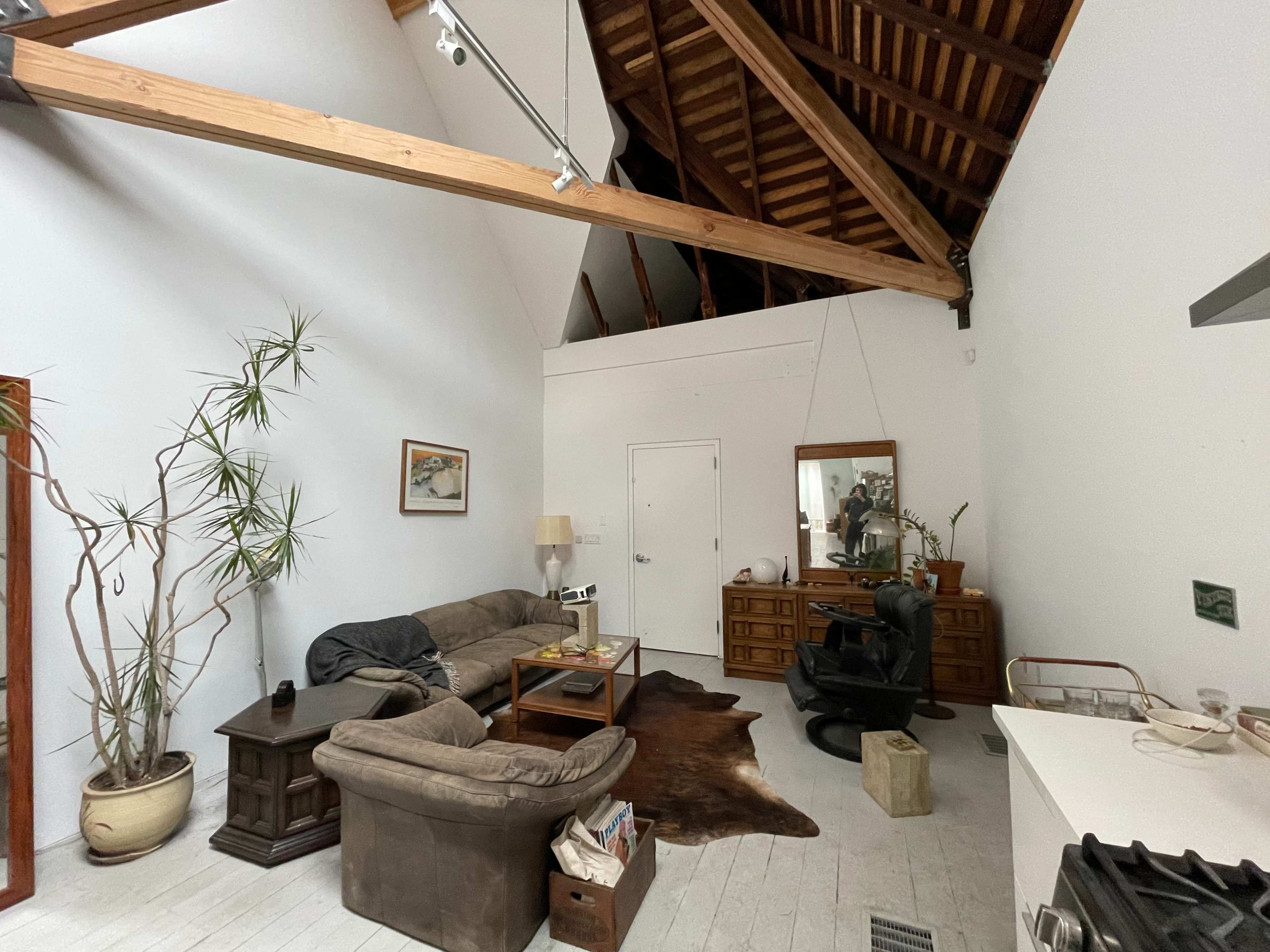 The image shows a spacious living area with a sofa, wooden furniture, a tall potted plant, and a mirror on the wall beneath a high, exposed wooden ceiling.