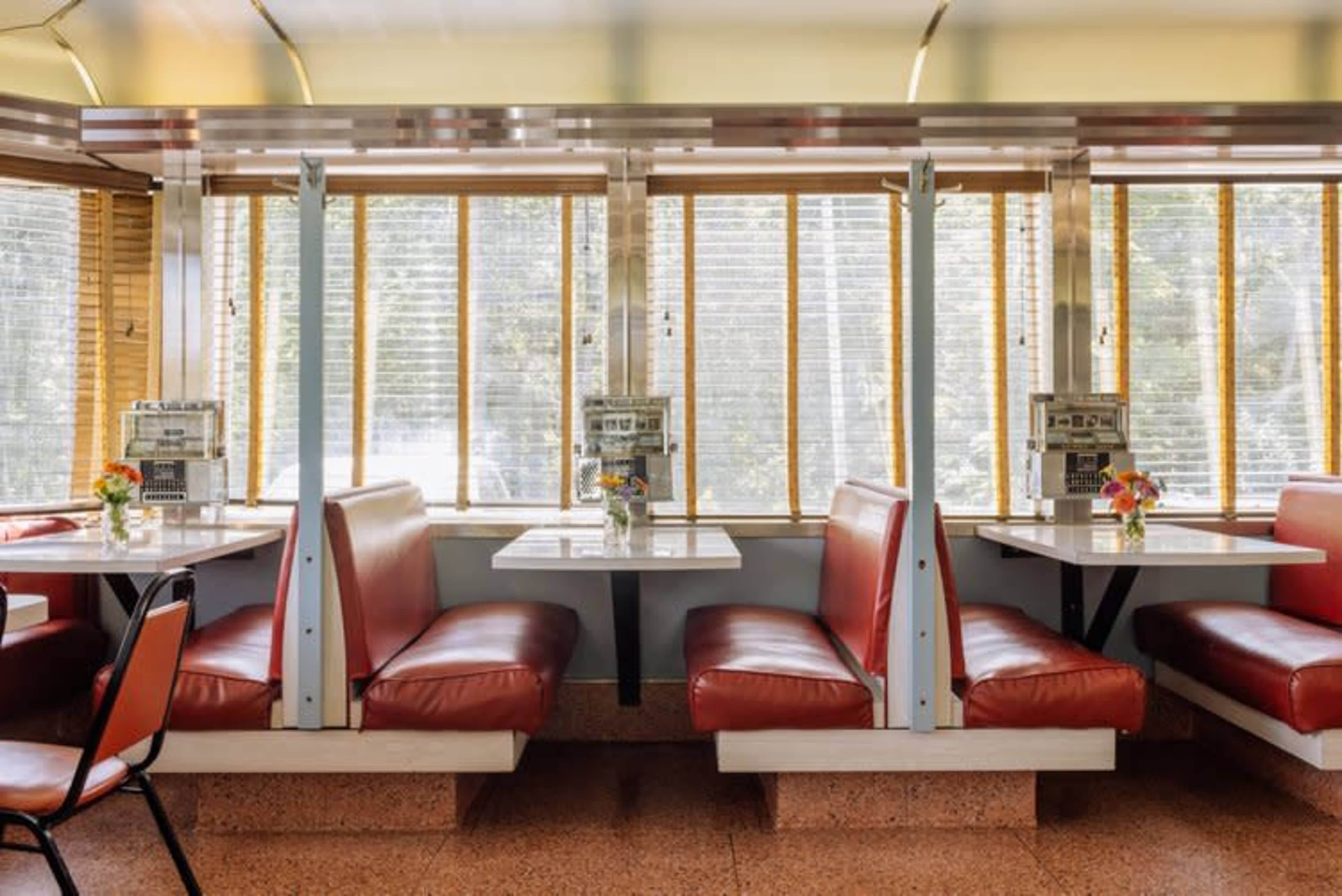 Authentic 1950's Diner on a lake Image in Elizaville, Elizaville, NY