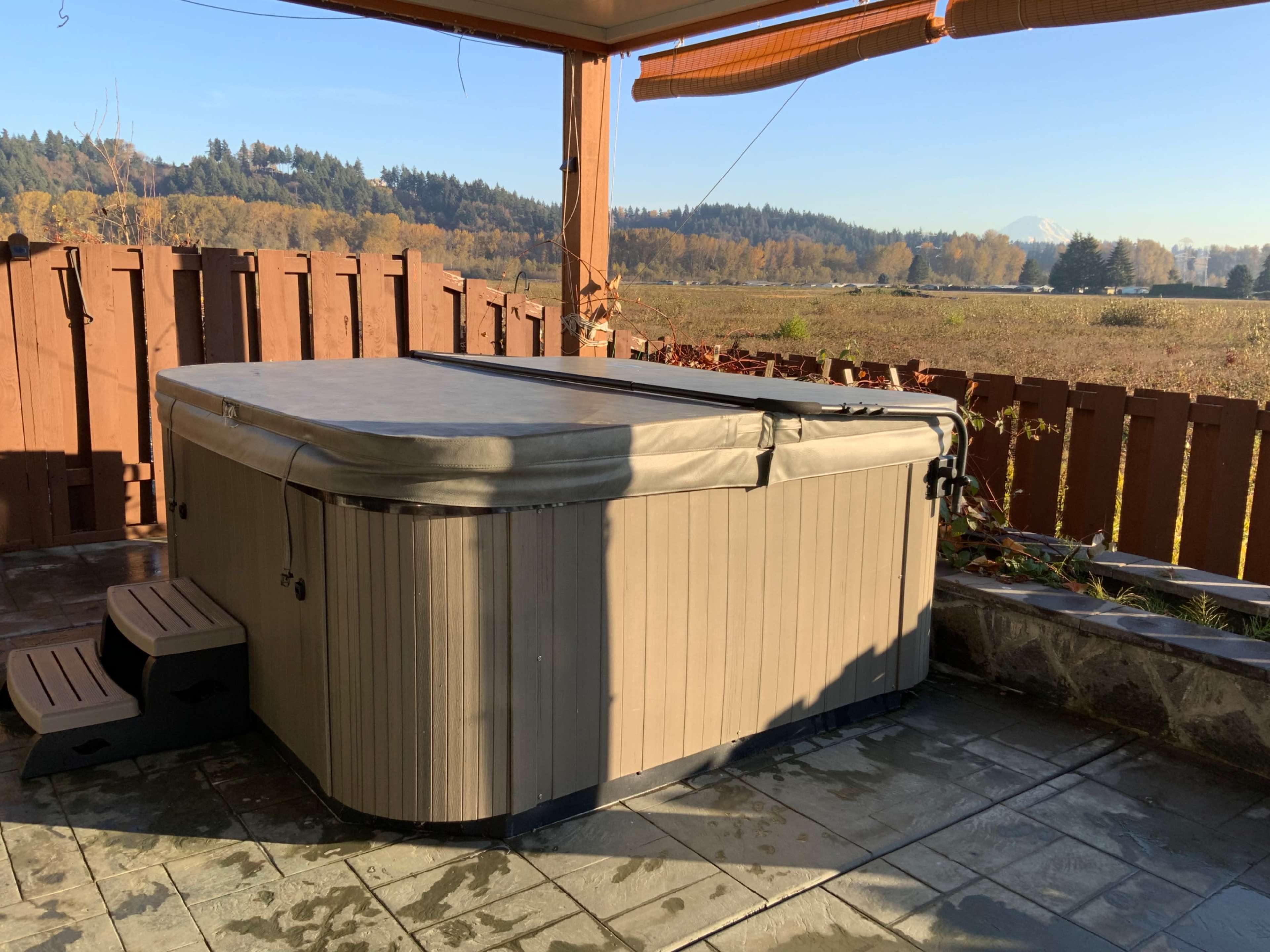 Downtown city with Rainier Mountain View Image in Auburn, 98002, WA