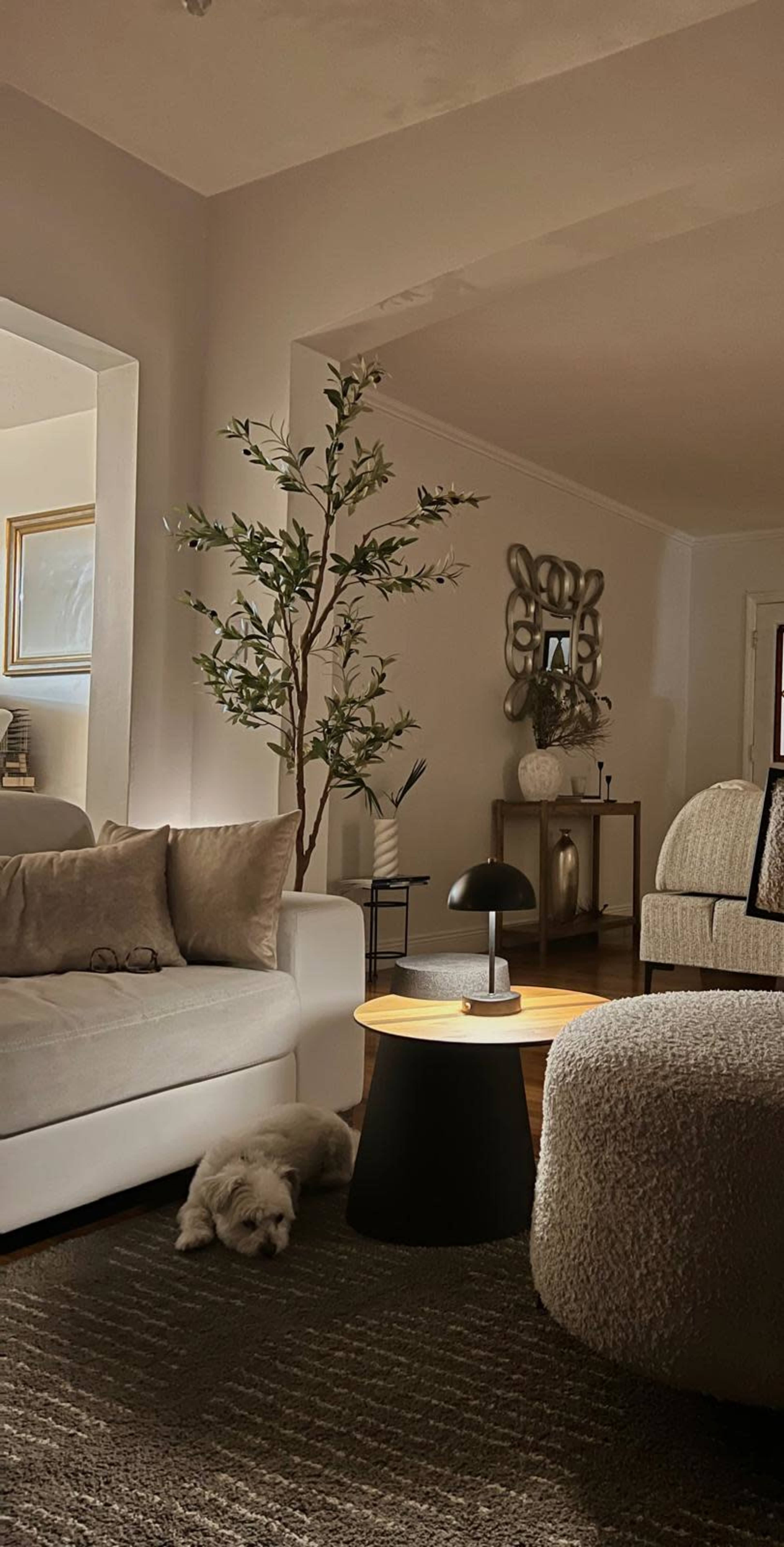 A cozy living room features a white sofa, a round table with a black lamp, a small decorative tree, and a dog lying on the rug.