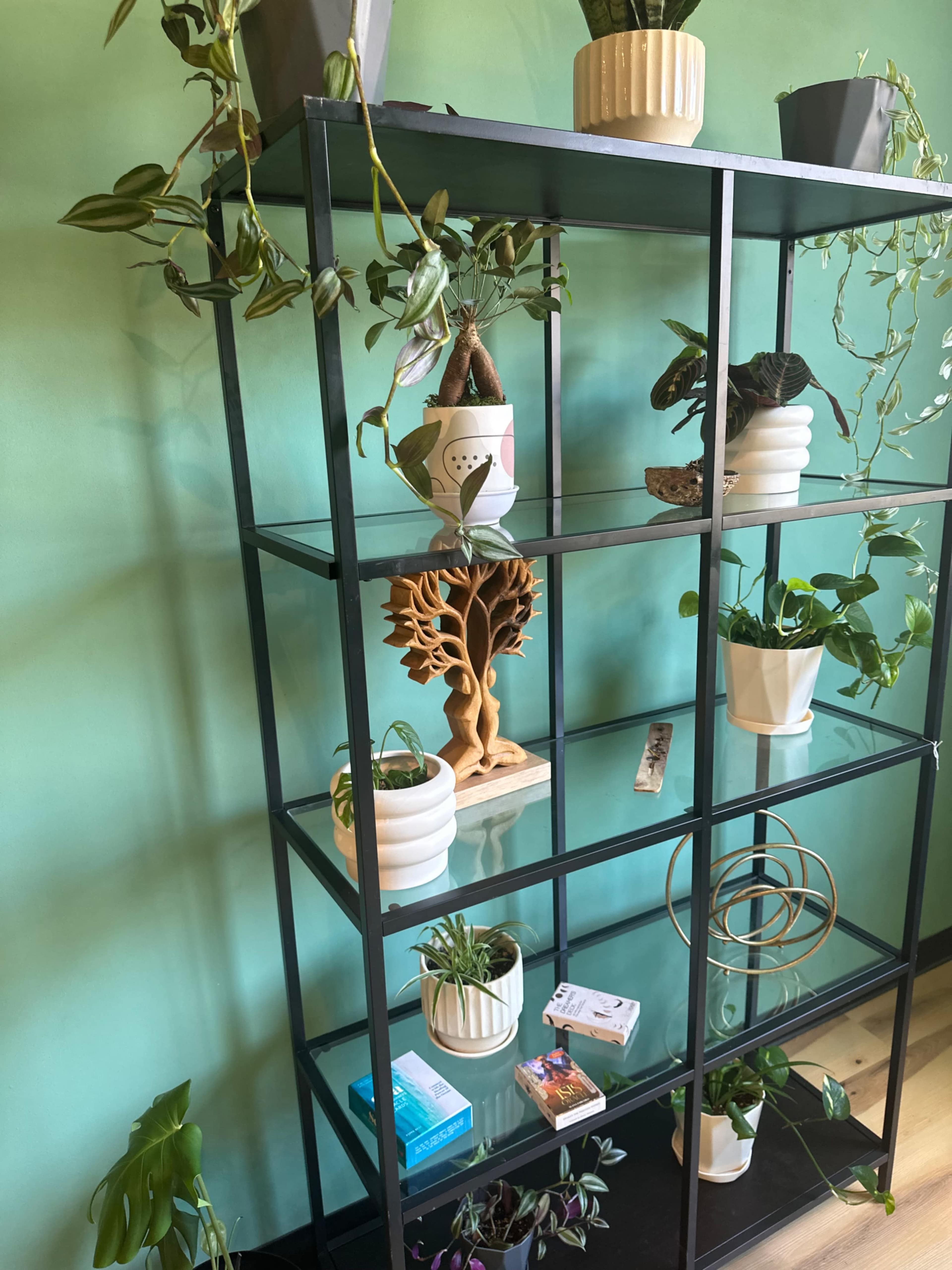 A black metal shelving unit holds various potted plants and decorative items against a green wall.