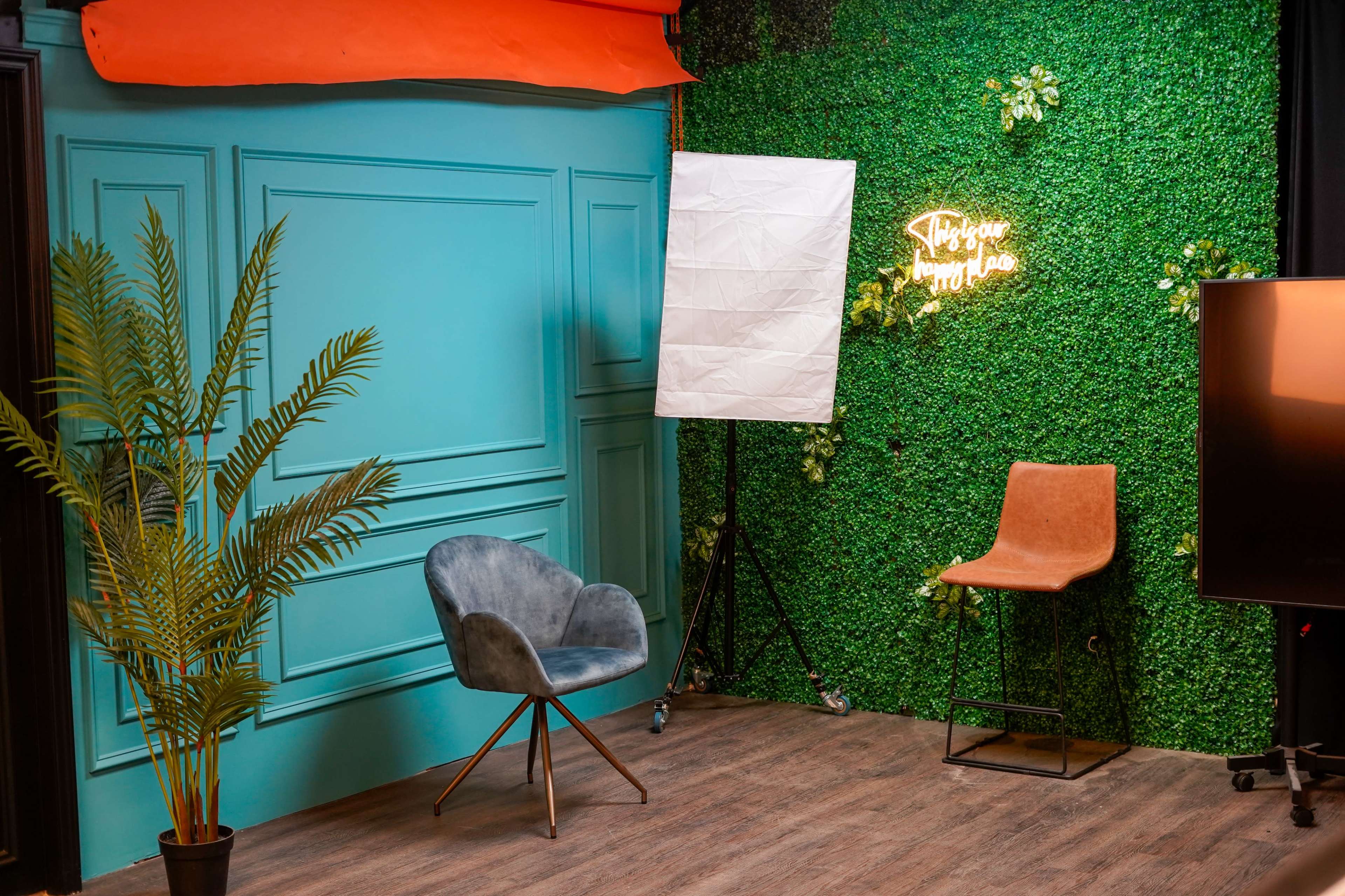 The scene features a studio setup with a teal wall, a green foliage backdrop, a folding light reflector, a brown chair, and a gray velvet chair next to a television.