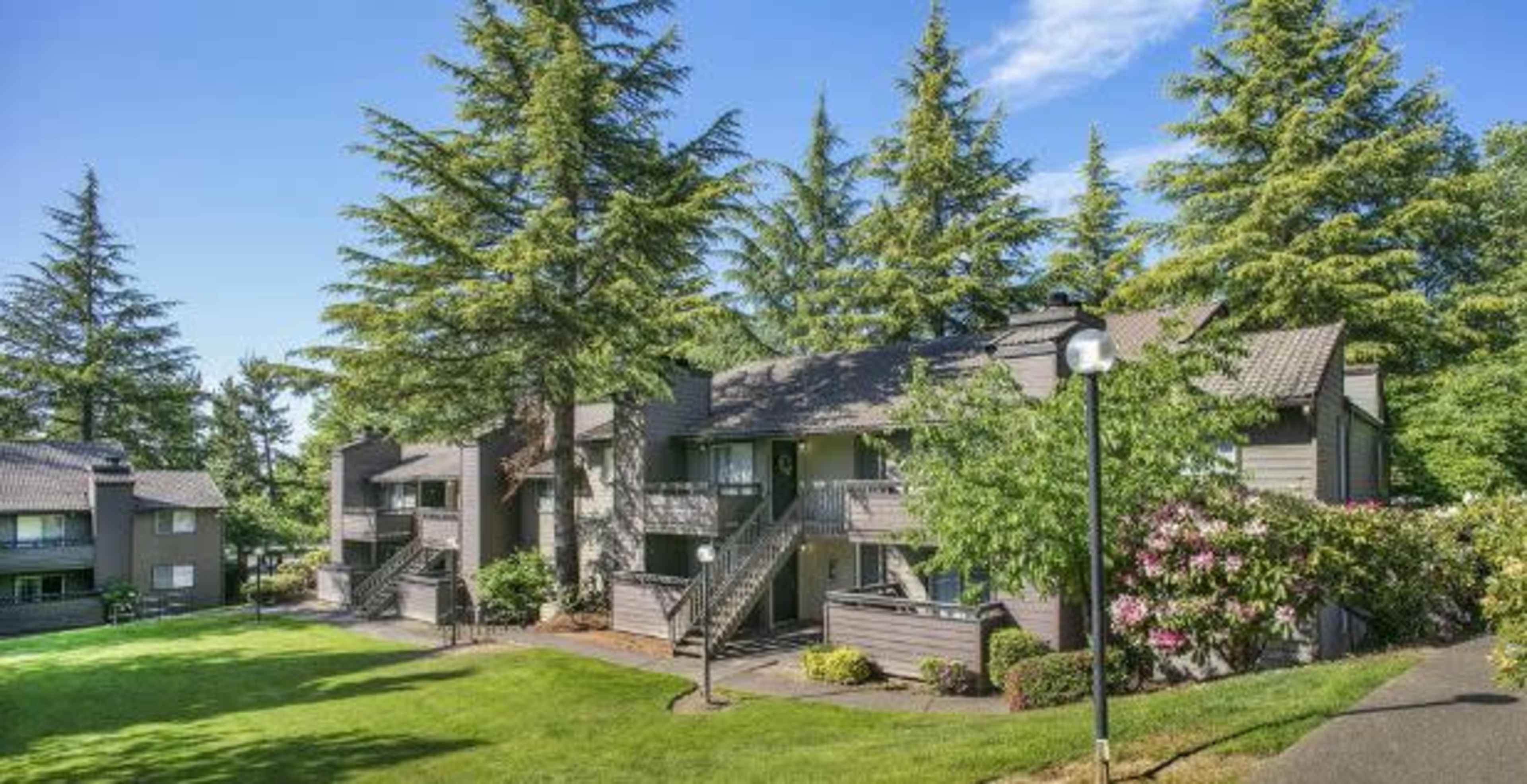 A cluster of two-story apartment buildings surrounded by tall evergreen trees and well-maintained landscaping.