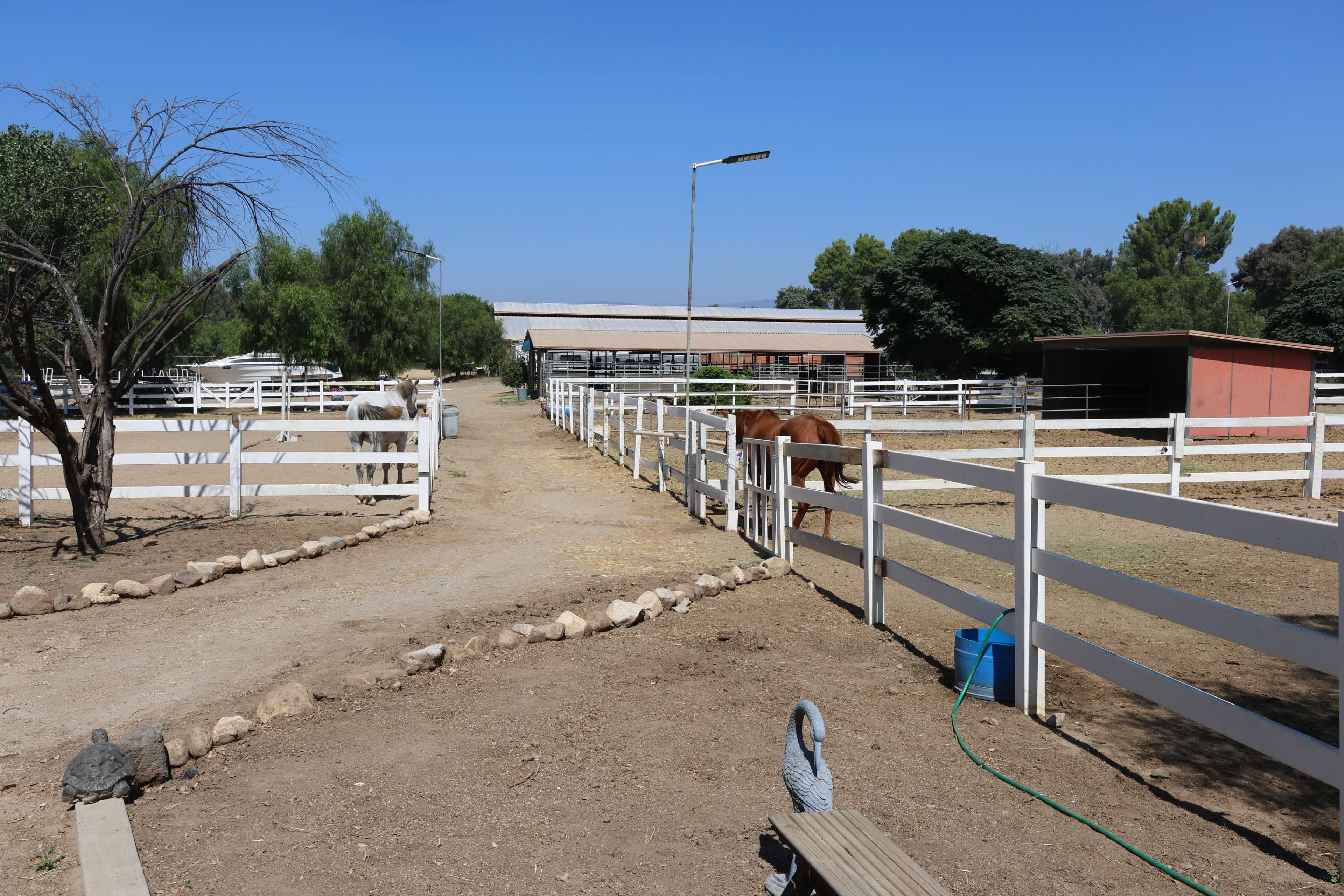 A pathway runs through a horse stable area, lined with white fences and trees, leading to various horse enclosures and a barn.