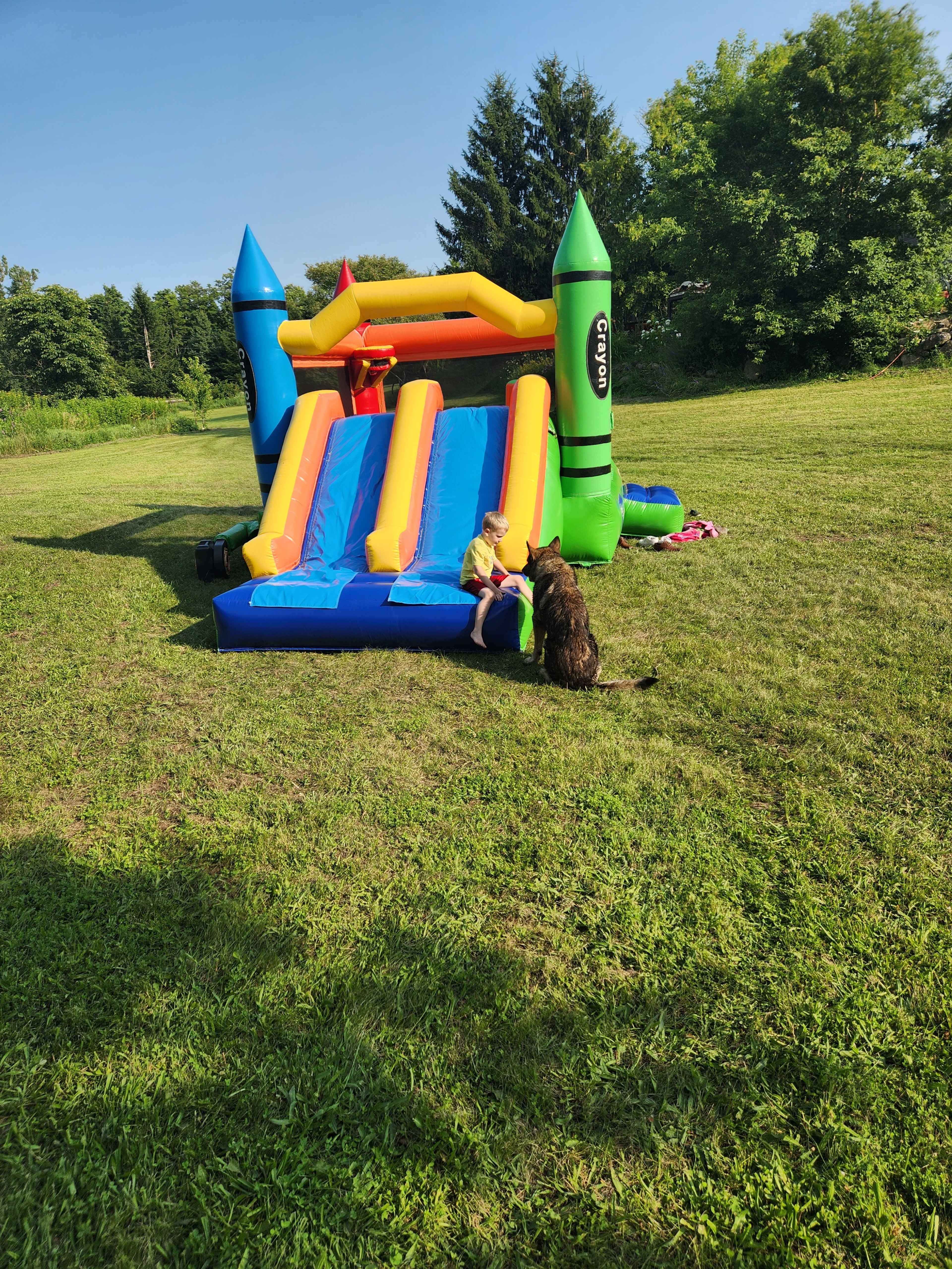 A child is playing near a colorful inflatable bounce house in a grassy field with a dog nearby.