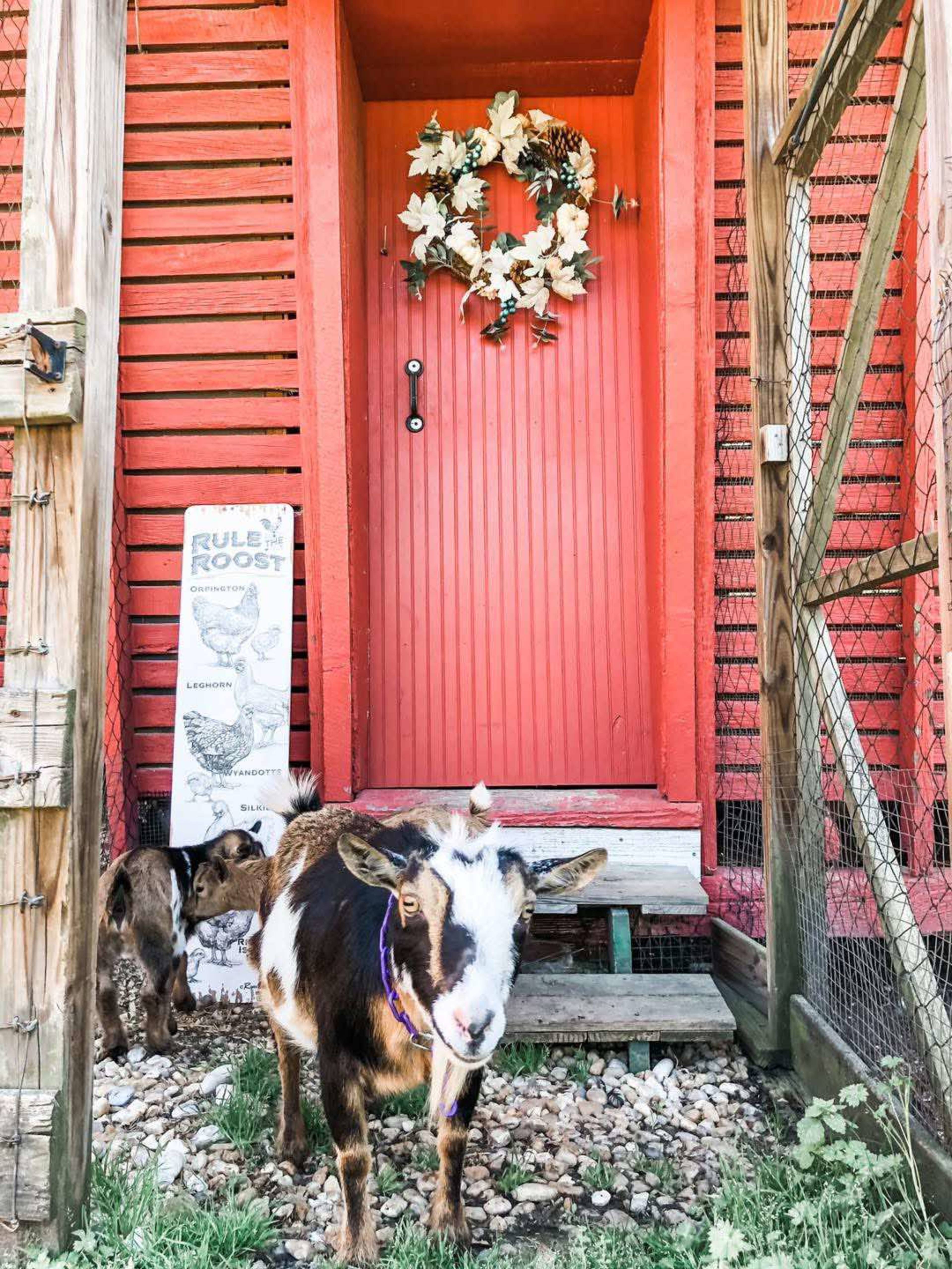 Working Farm with Goats Image in , Hayes, VA