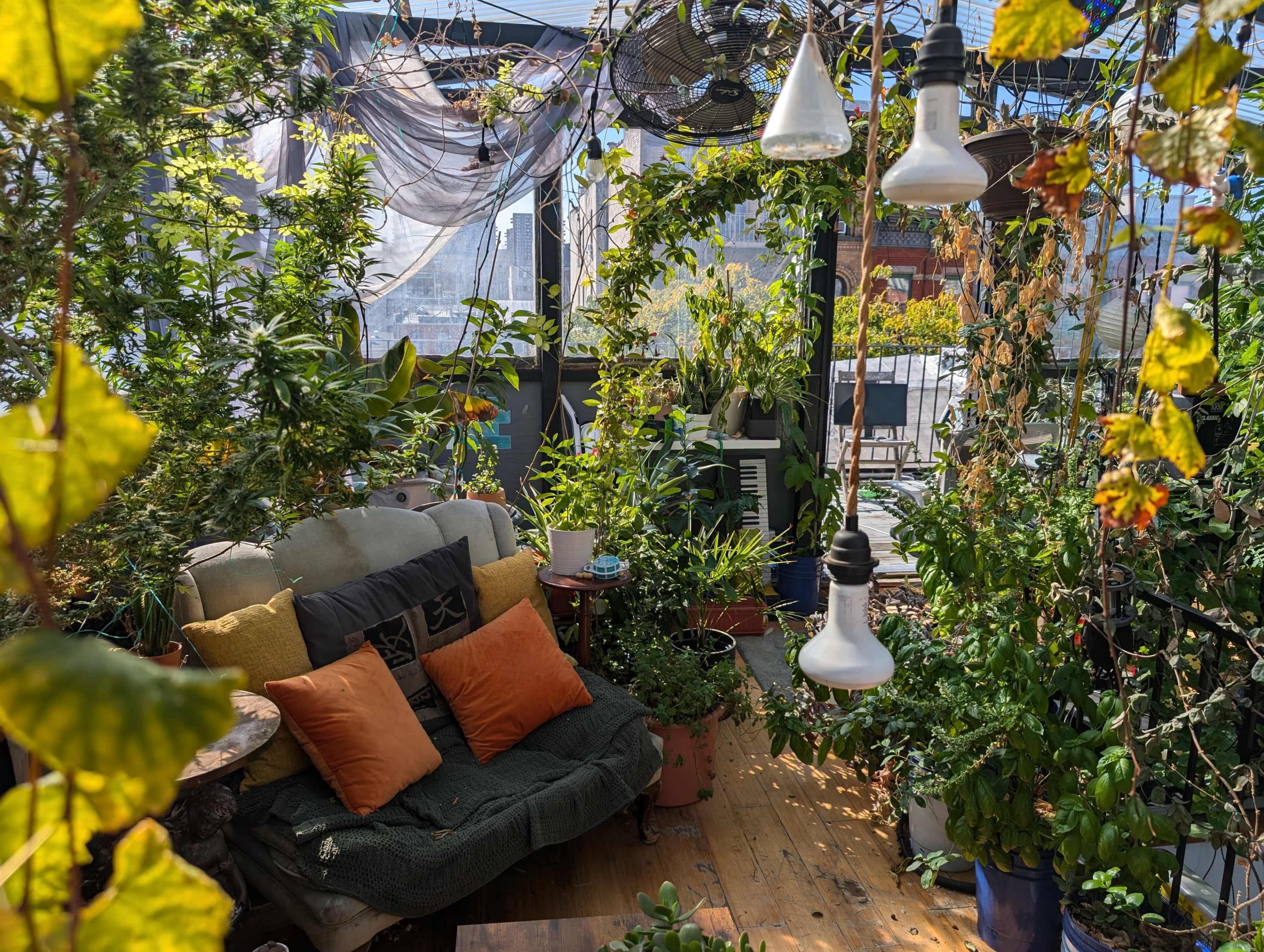 Plant Filled Rooftop Greenhouse with Hufflepuff Vibe and Church View Image in East Harlem, NEW YORK, NY