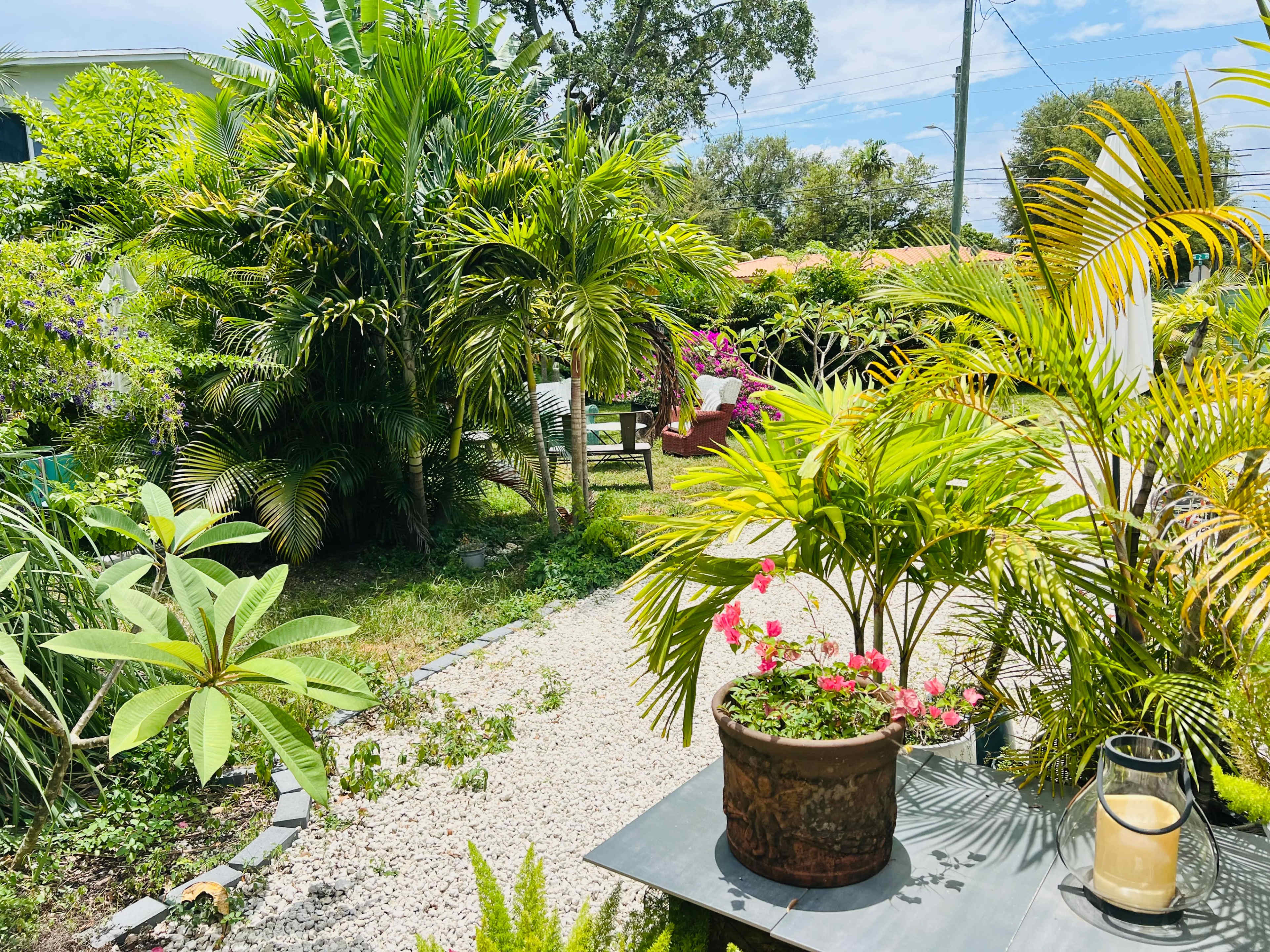 The scene shows a lush garden filled with various plants, including palm trees and flowering shrubs, with a gravel path leading through the greenery.