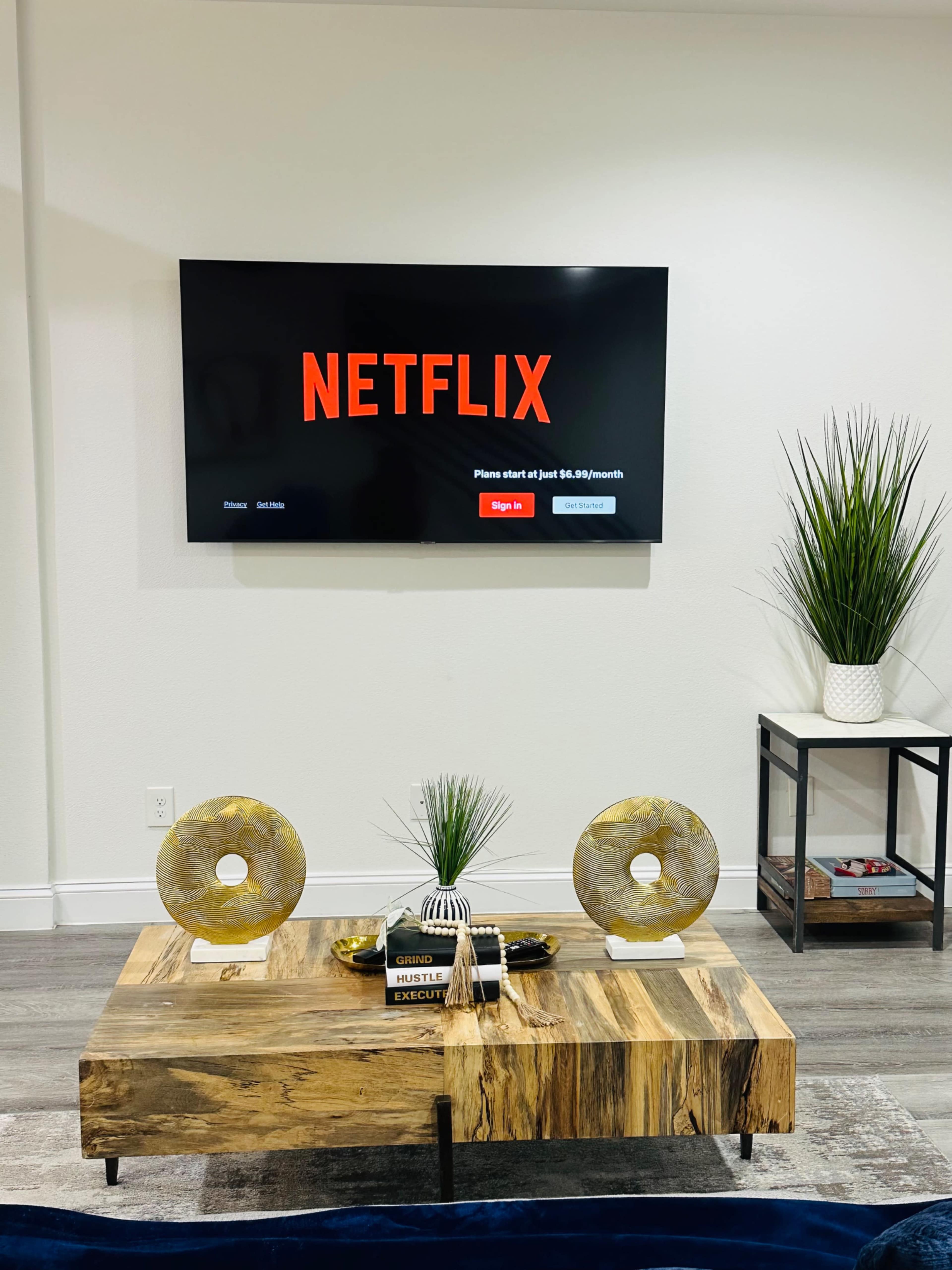 A modern living room features a wooden coffee table with decorative items, a flat-screen TV displaying the Netflix logo on the wall, and a small plant beside a black side table.