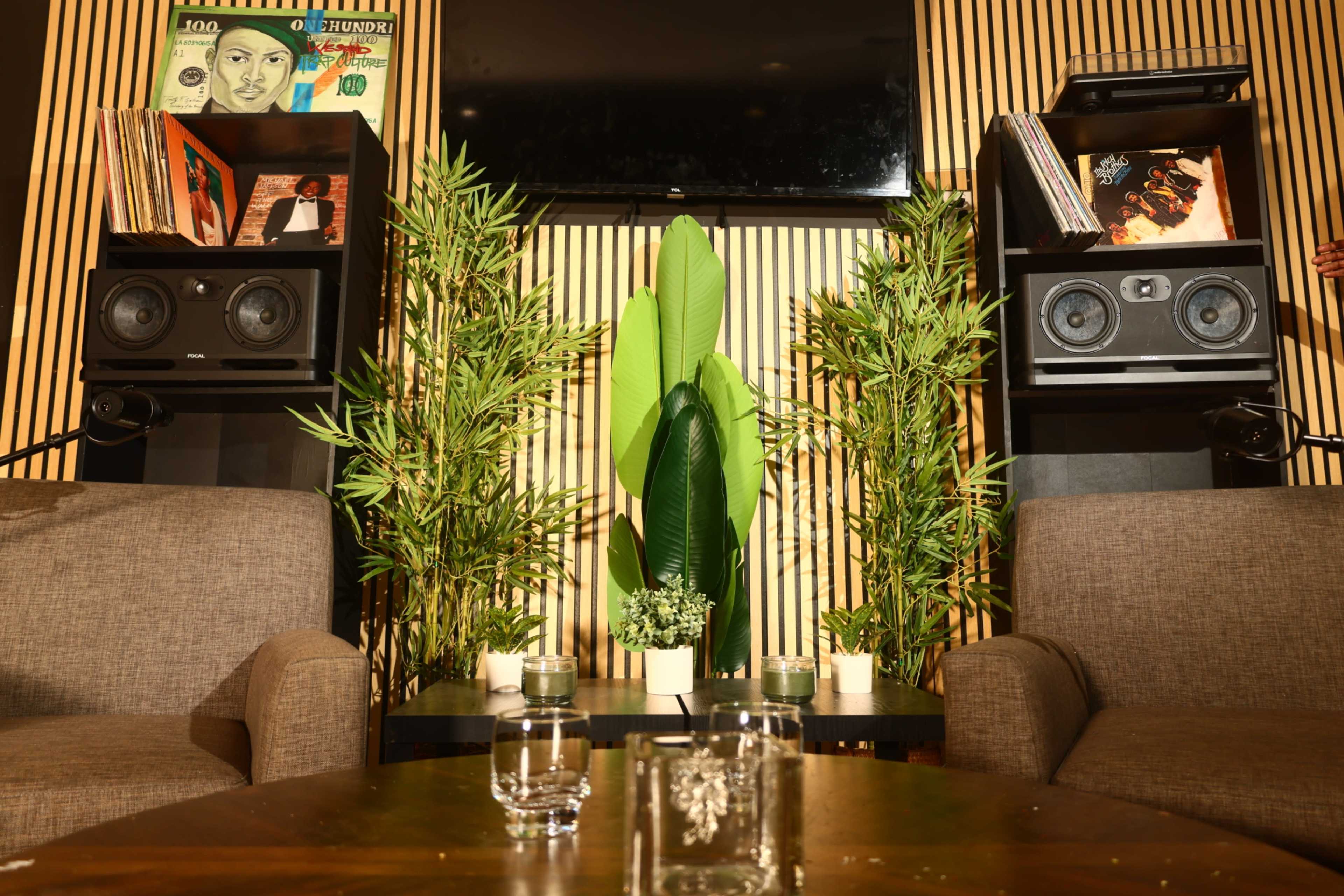 The scene features two brown chairs facing a television mounted on a wooden wall, flanked by tall plants and record shelves with vinyl records displayed.