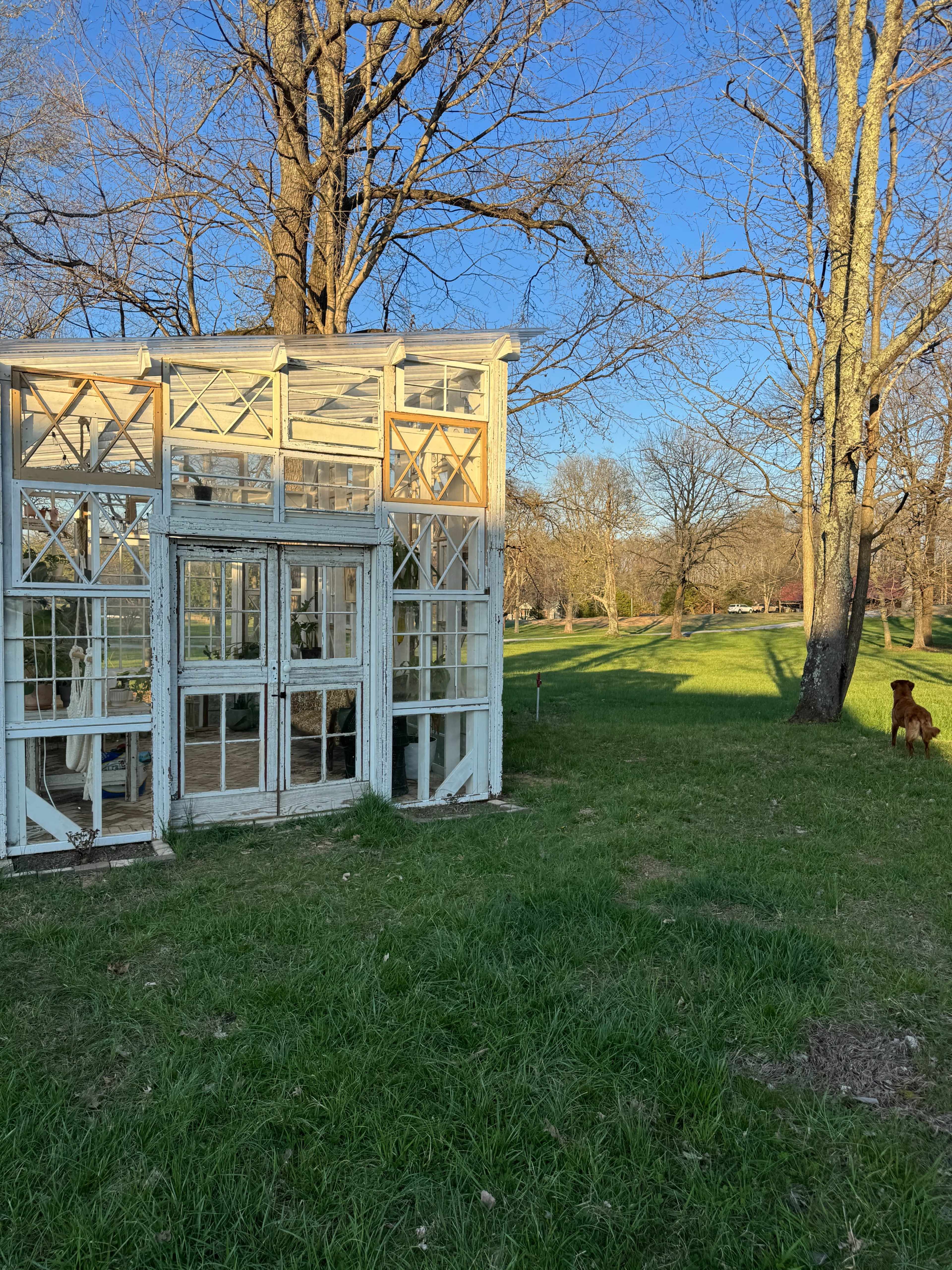 Coopertown Greenhouse Image in Coopertown, Springfield, TN