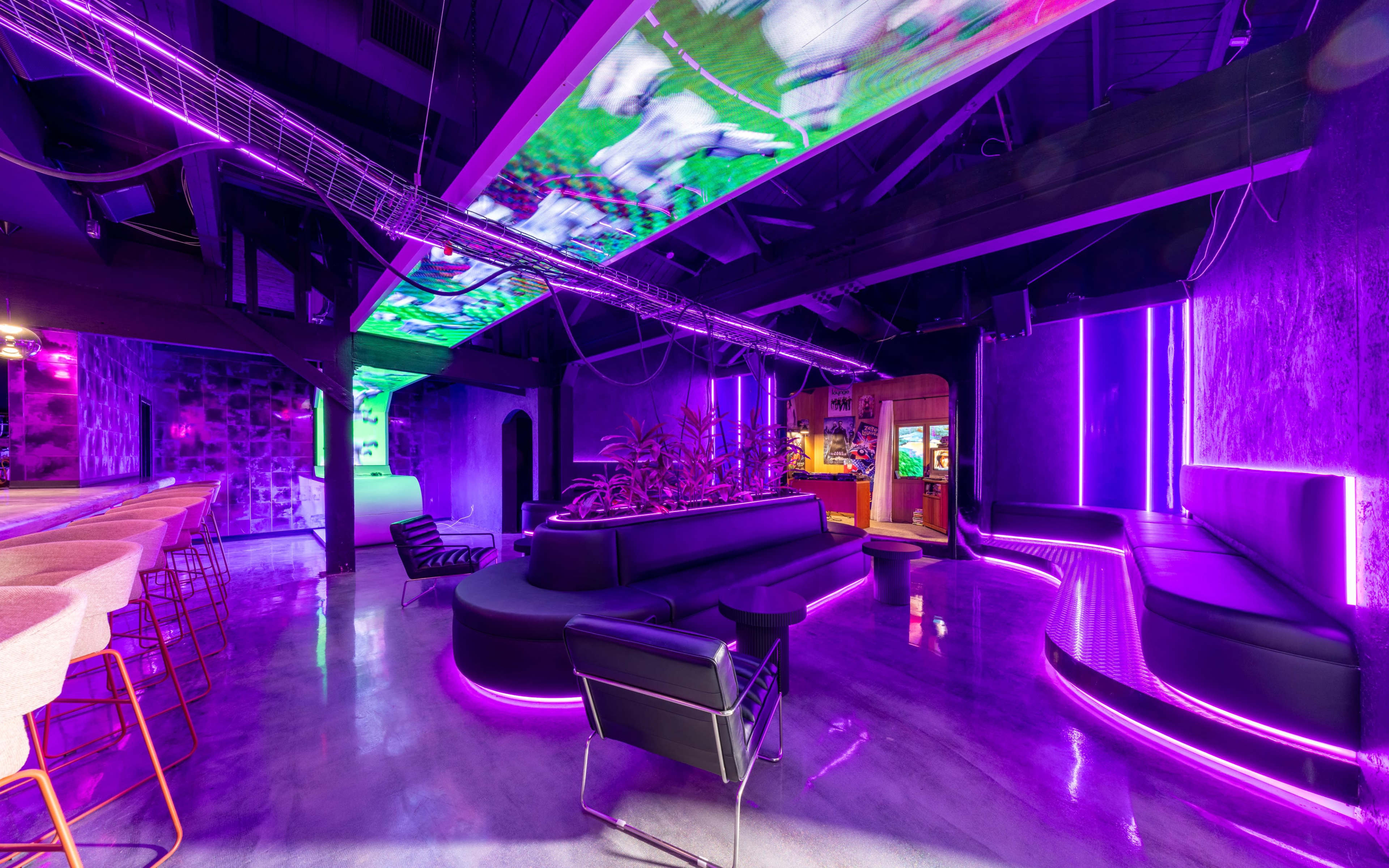 Hollywood Bar & Millenial Oasis Image in Hollywood, Los Angeles, CA