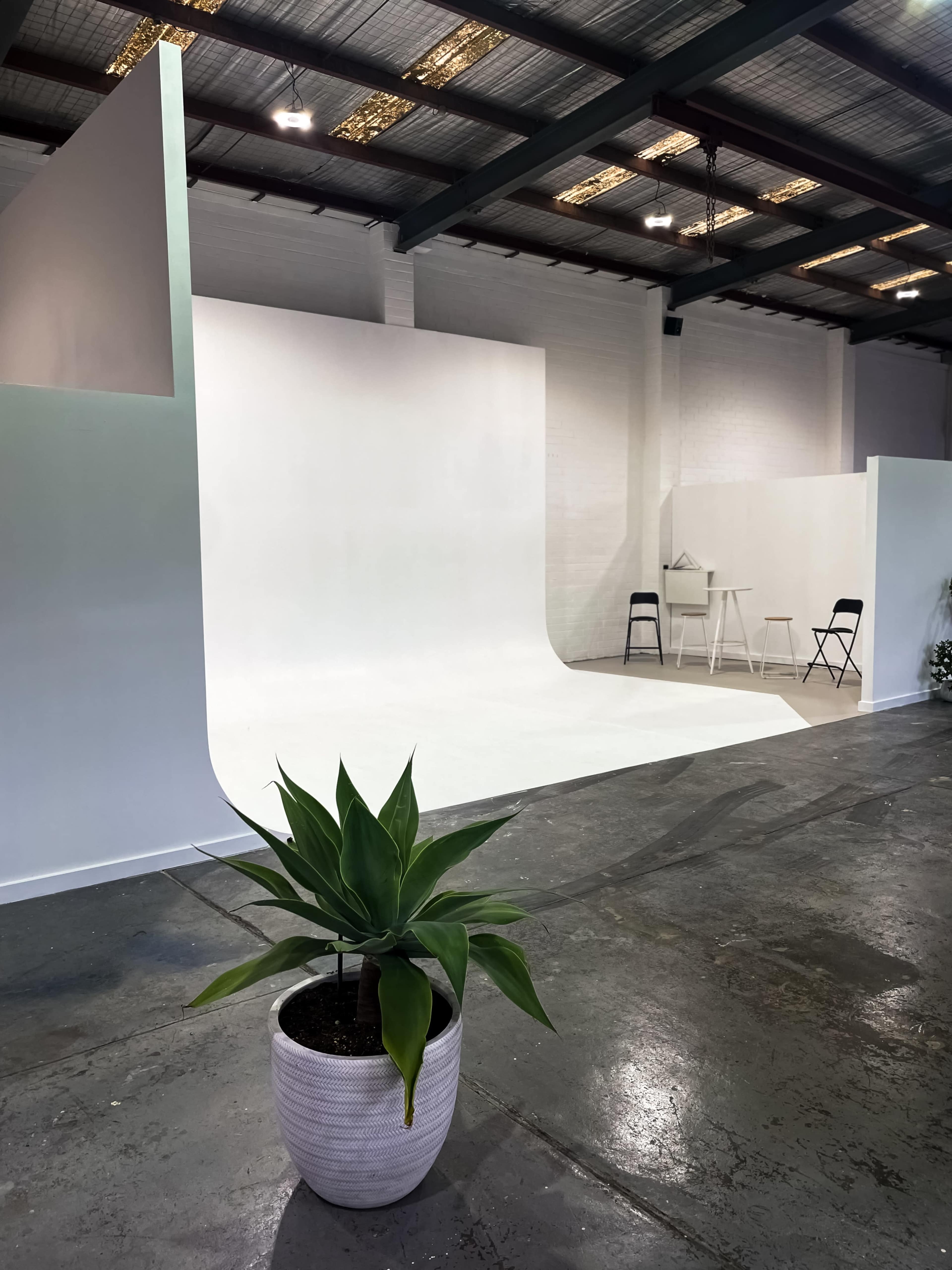 A minimalist photo studio setup featuring a white backdrop, a small wooden table and chairs, and a potted plant in the foreground.