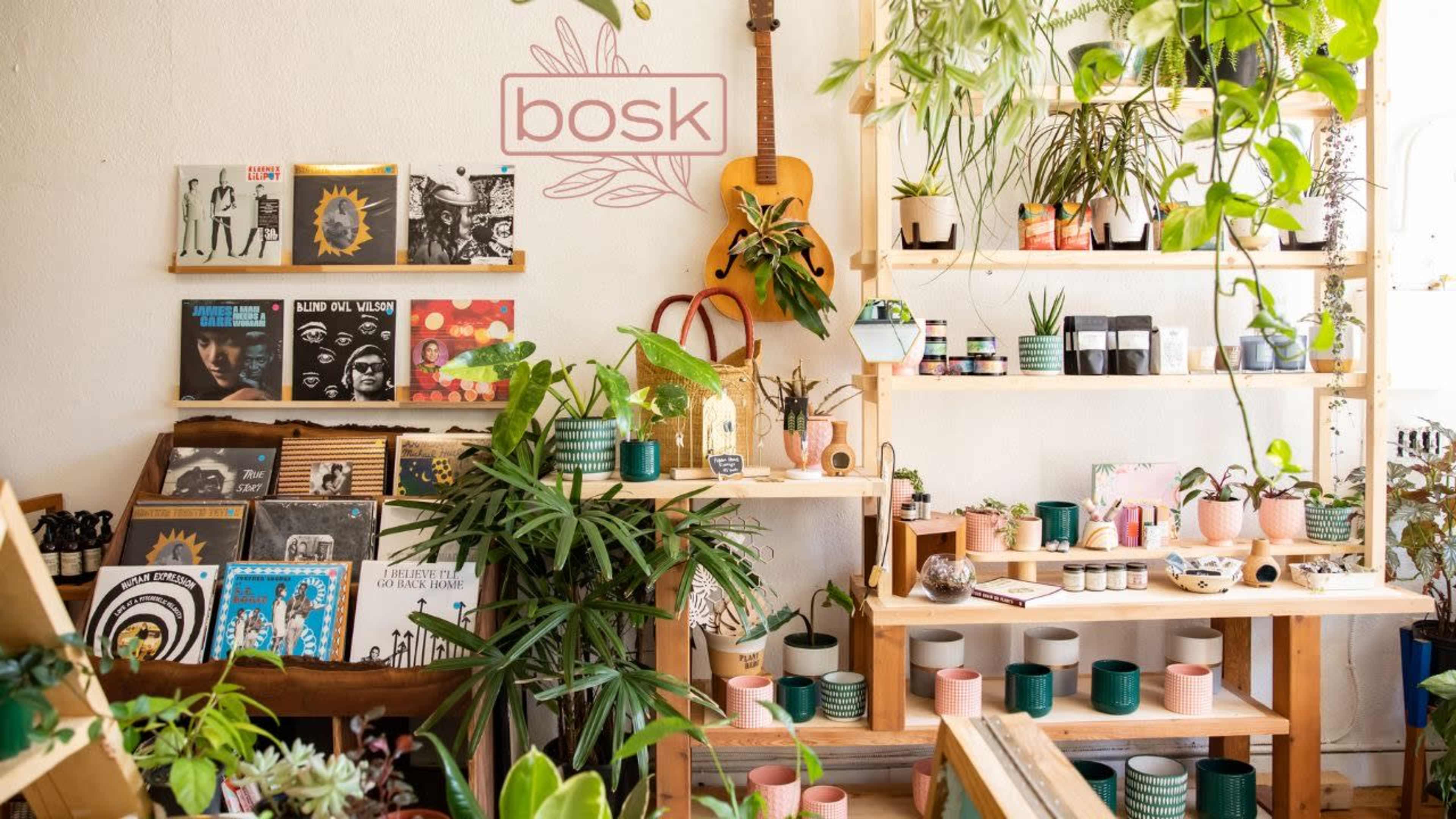 Beautiful light-filled plant shop Image in Northeast Portland, Portland, OR