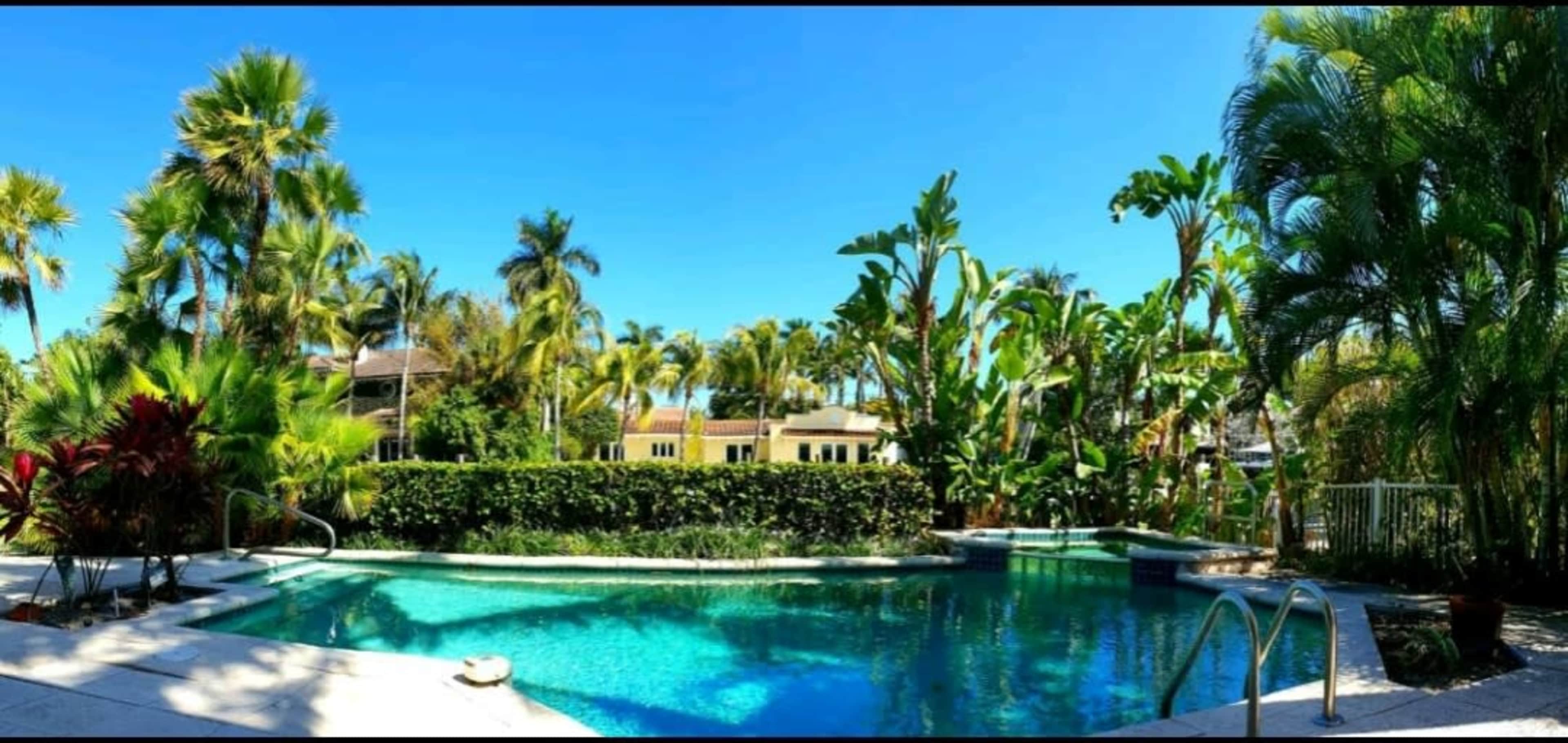 A swimming pool surrounded by lush greenery and palm trees under a clear blue sky.