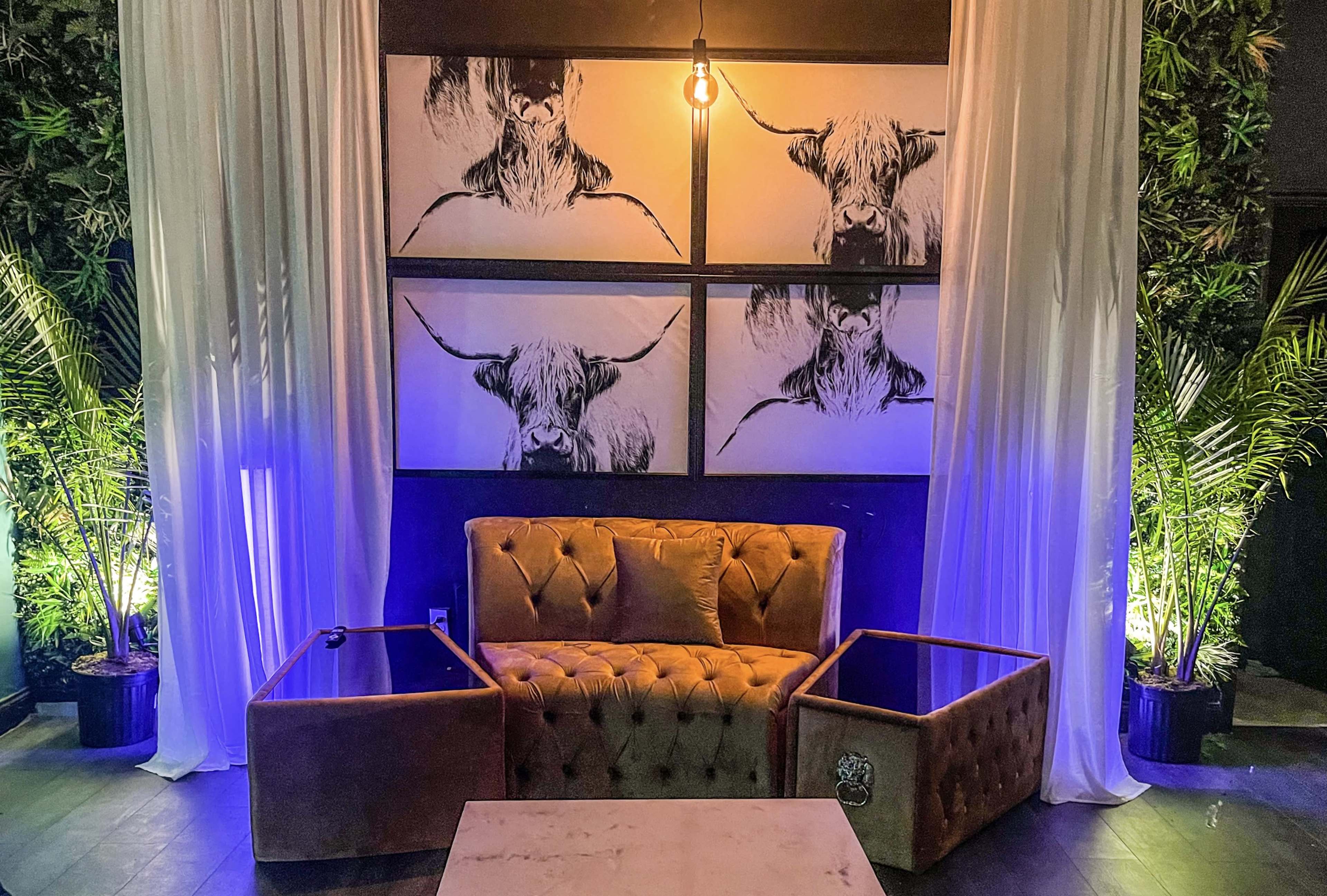 A cozy seating area featuring a tufted velvet couch, two wooden side tables, and framed artistic images of Highland cows, surrounded by greenery and softly lit by pendant lighting.