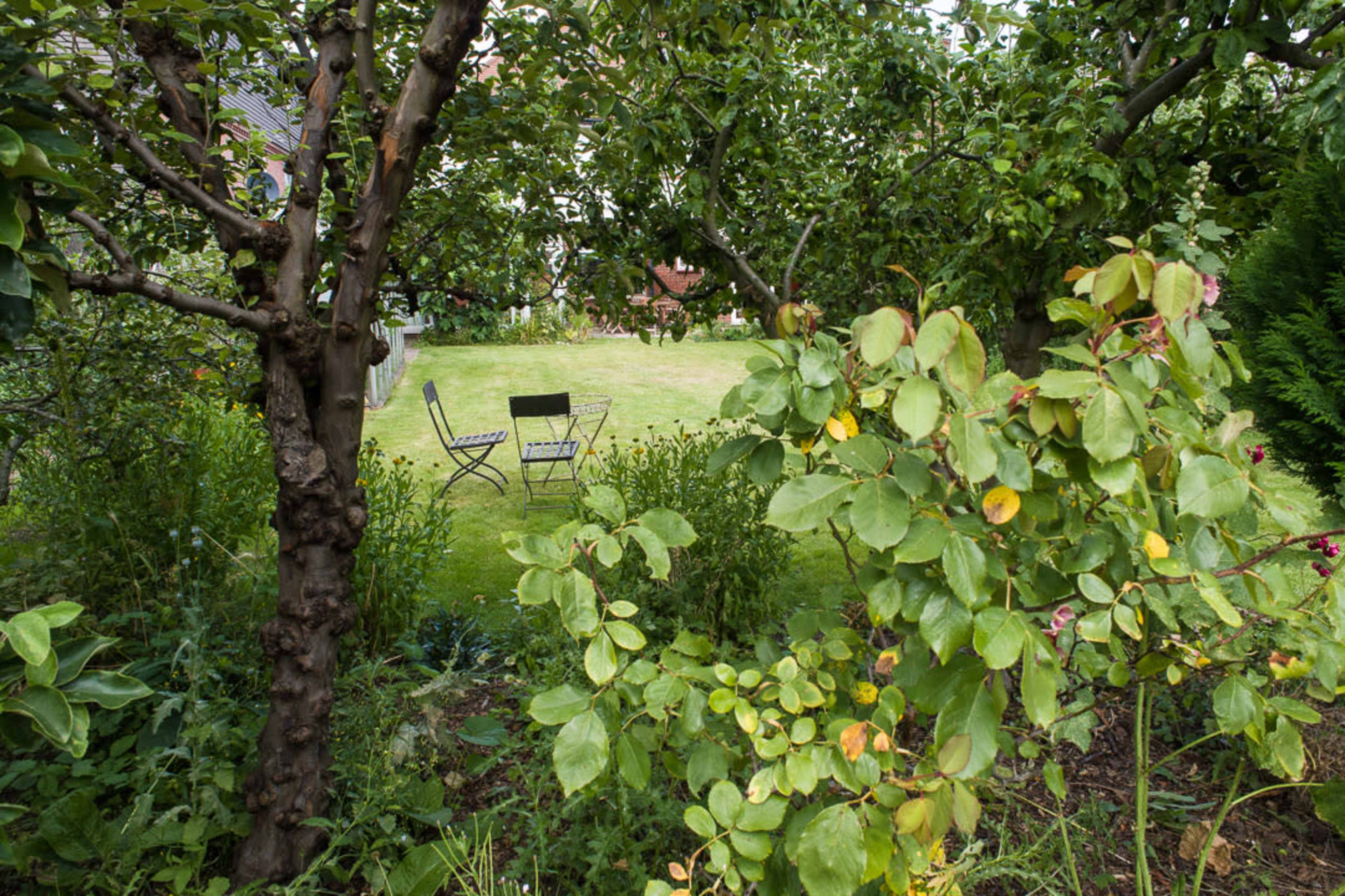 A pair of chairs sits on a grassy lawn surrounded by trees and foliage.