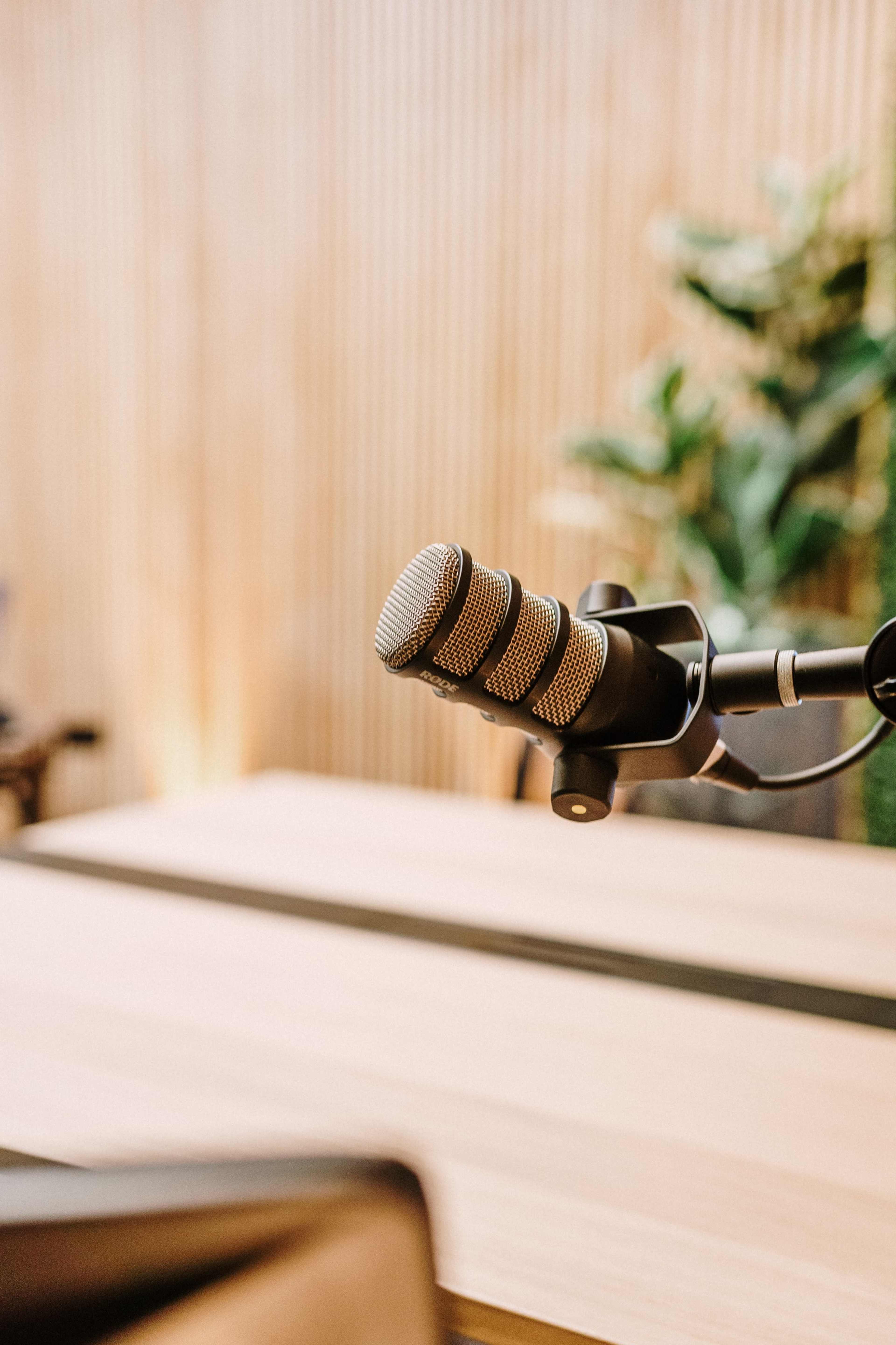 A close-up of a microphone attached to a stand, positioned on a wooden table against a backdrop of plants and wooden paneling.