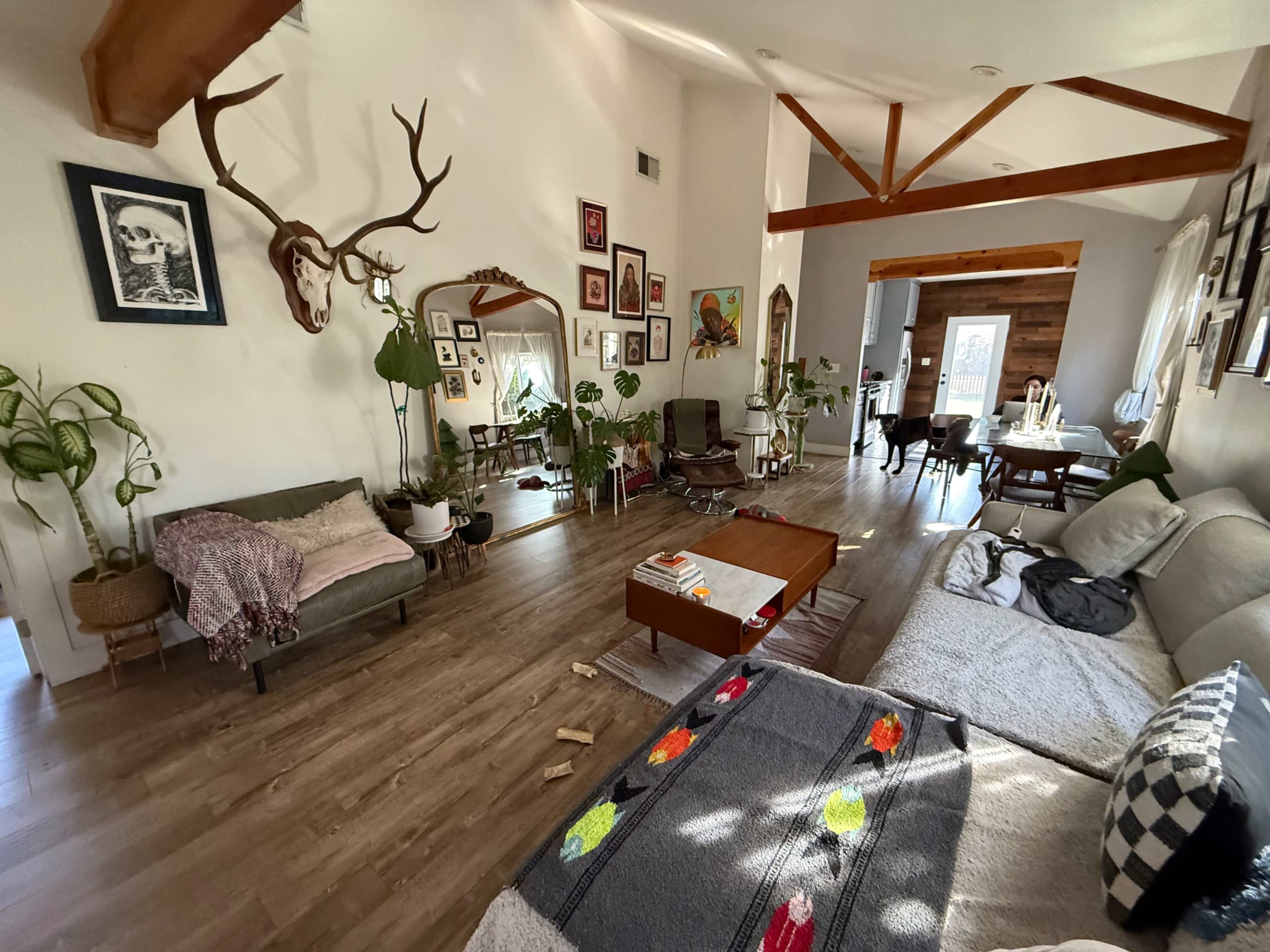 The image shows a spacious living room with wooden floors, a mix of furniture, and various plants, featuring large windows that allow natural light to fill the space.
