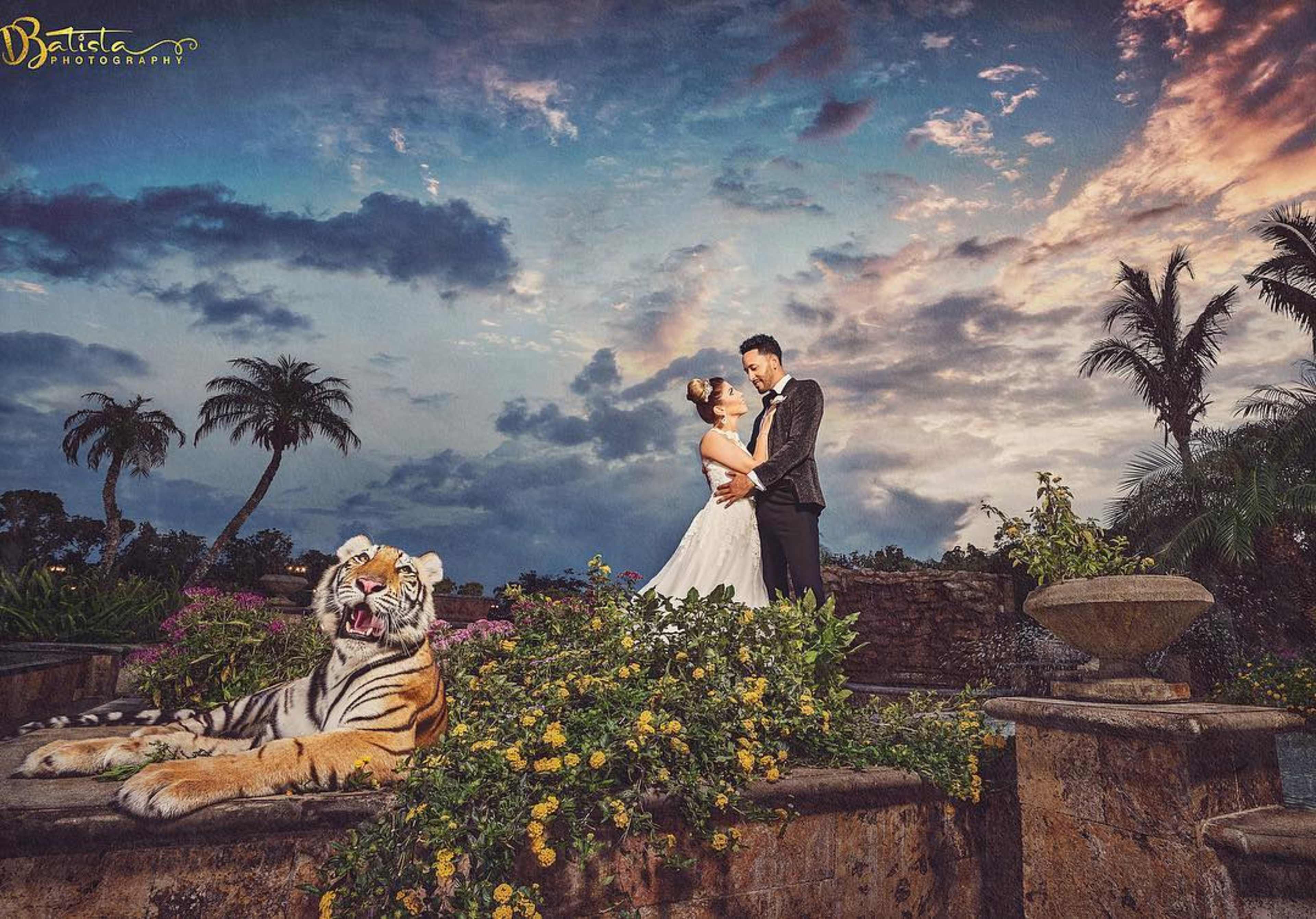A couple in formal attire poses for a wedding photo with a tiger resting nearby, surrounded by flowers and palm trees under a cloudy sky.